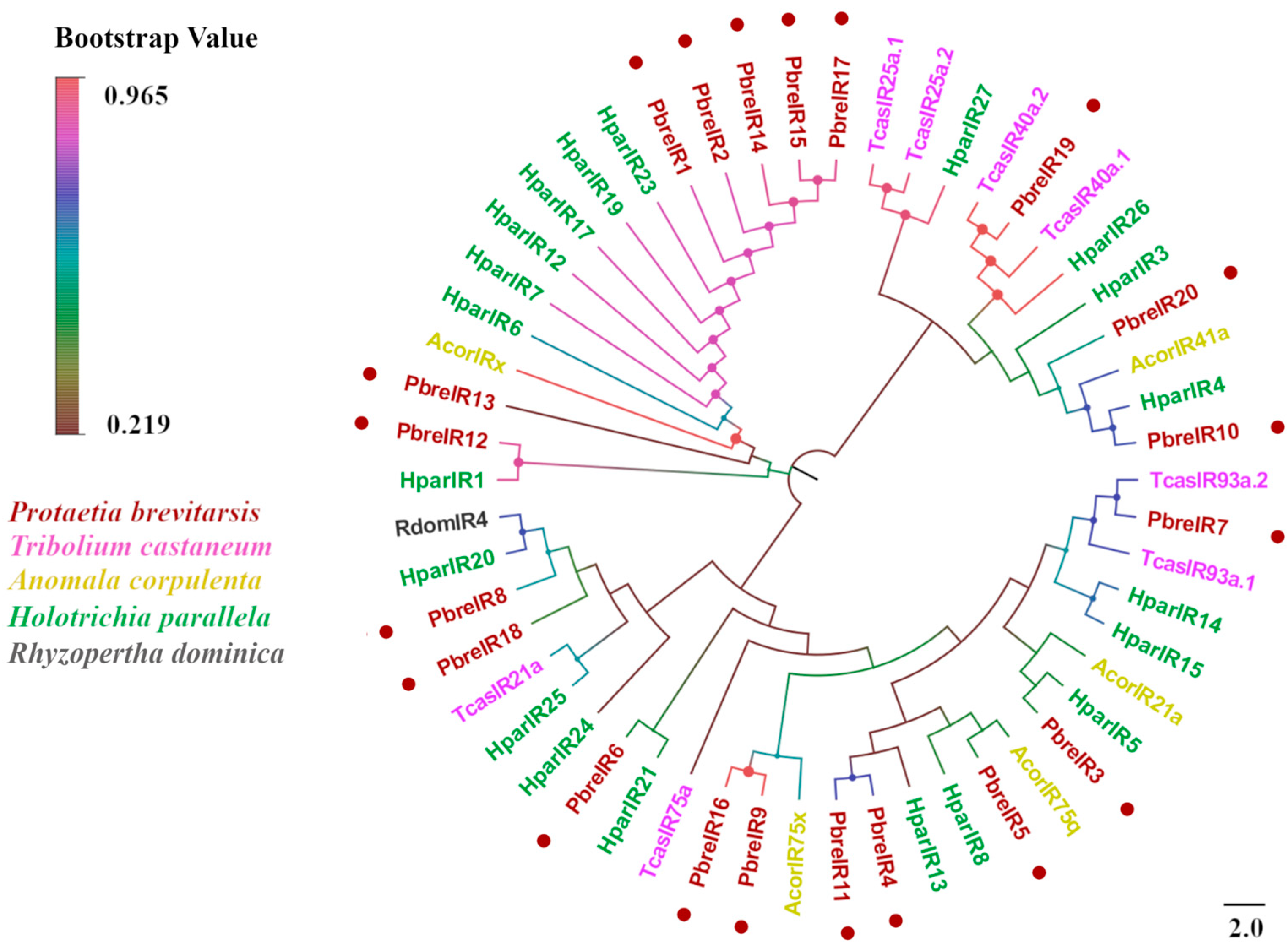 Insects 16 00607 g010