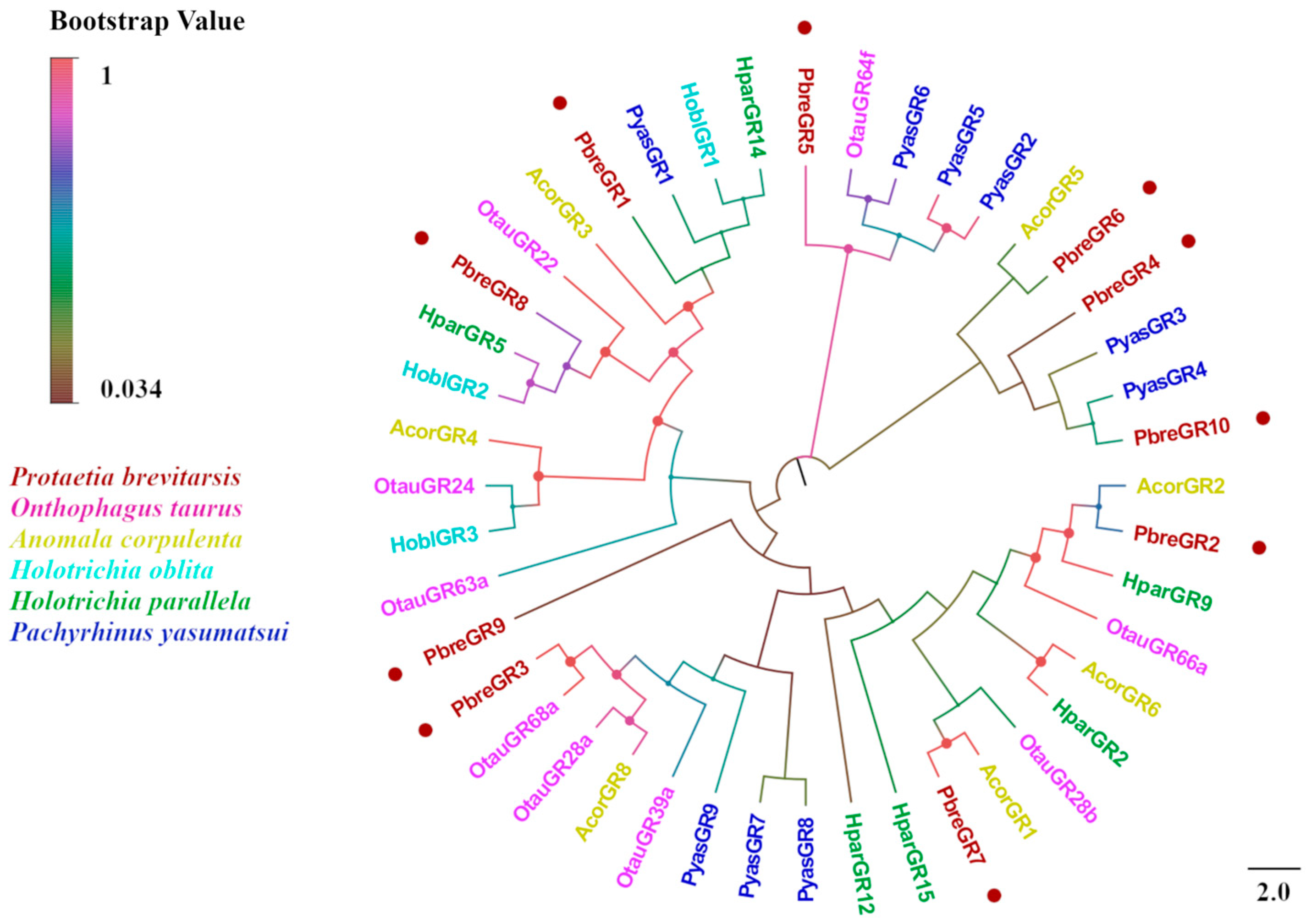 Insects 16 00607 g011