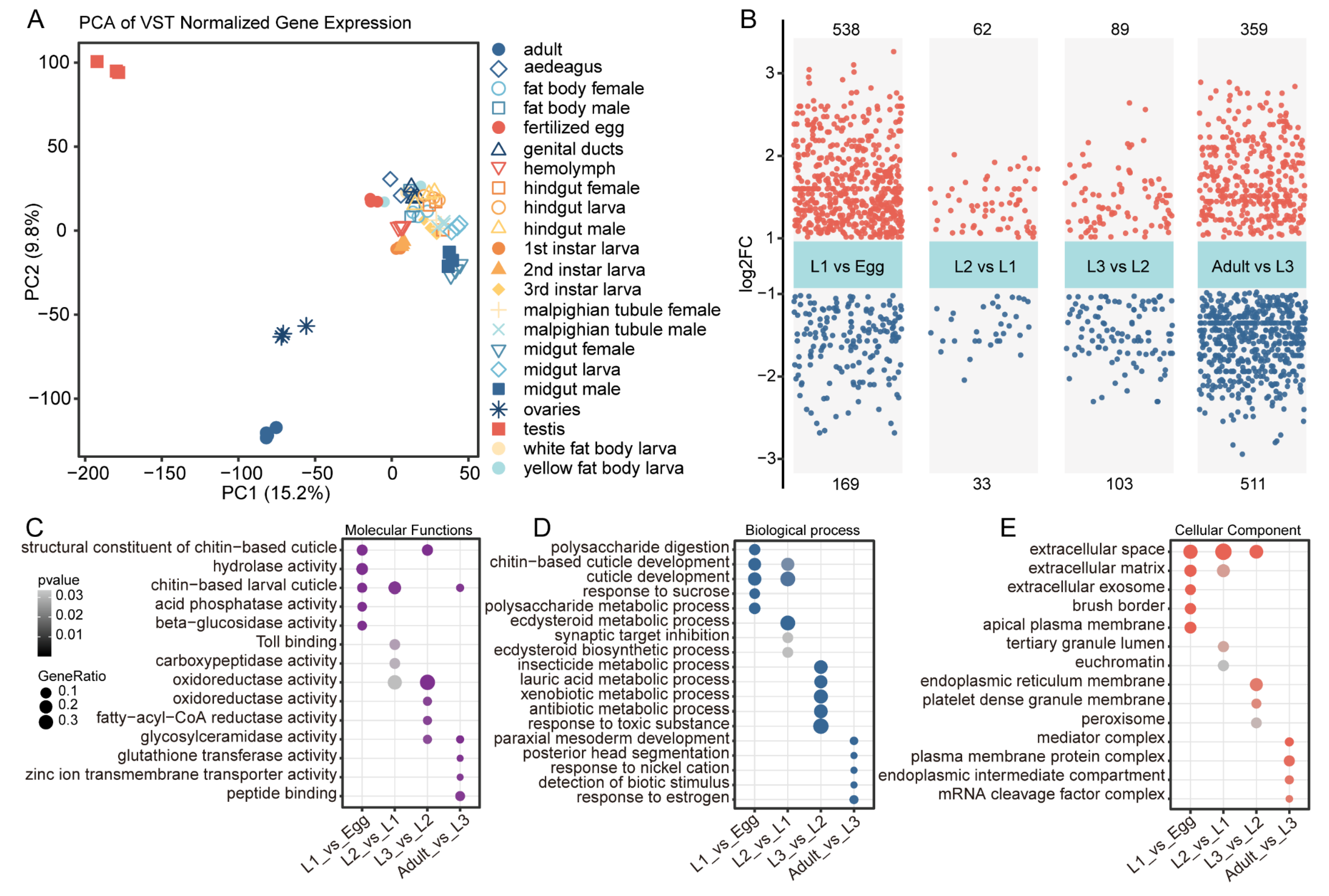 Insects 16 00608 g001