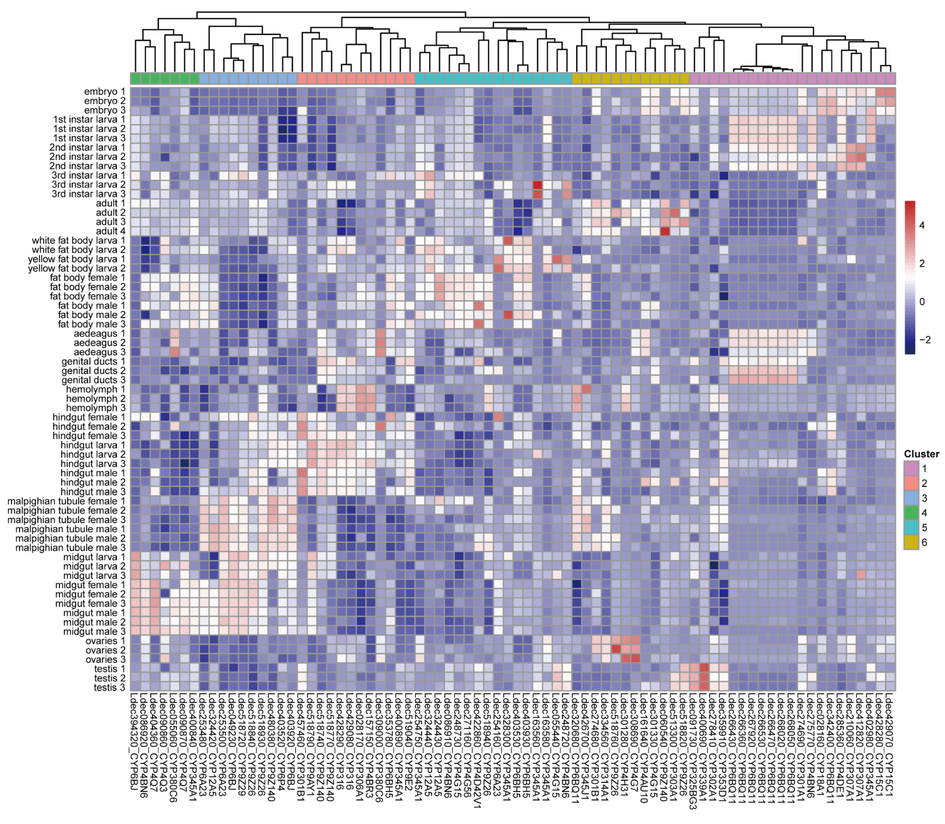 Insects 16 00608 g006