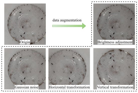Insects 16 00610 g006