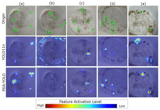 Insects 16 00610 g008