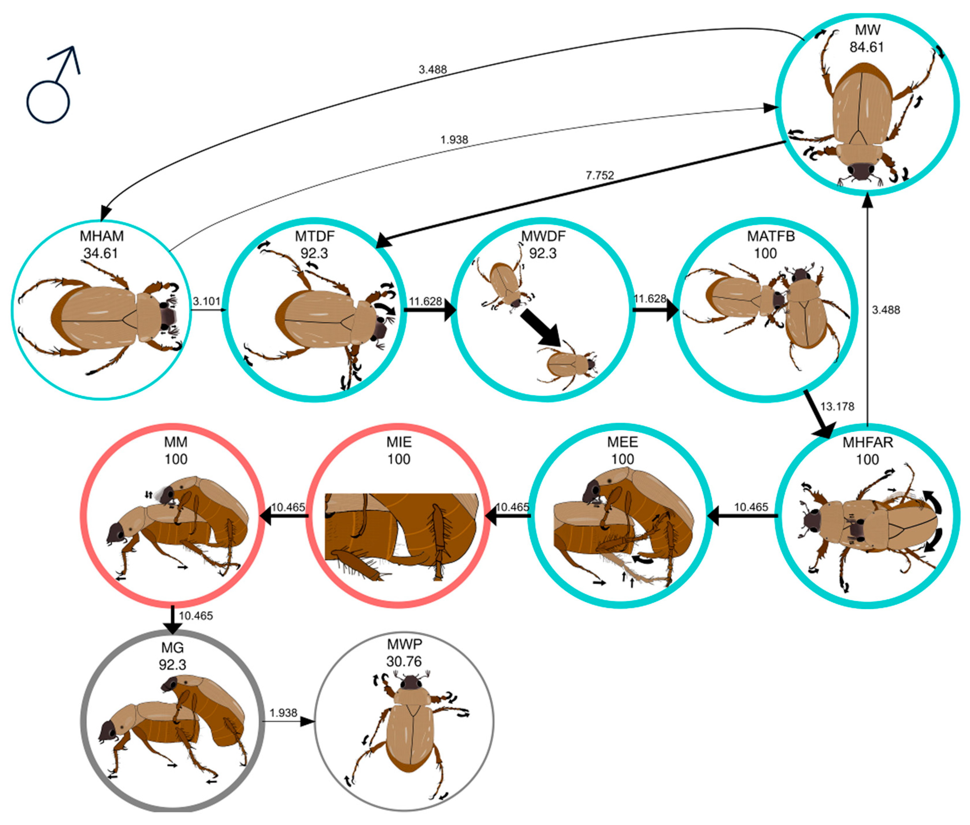 Insects 16 00613 g002 Insects 16 00613 g002