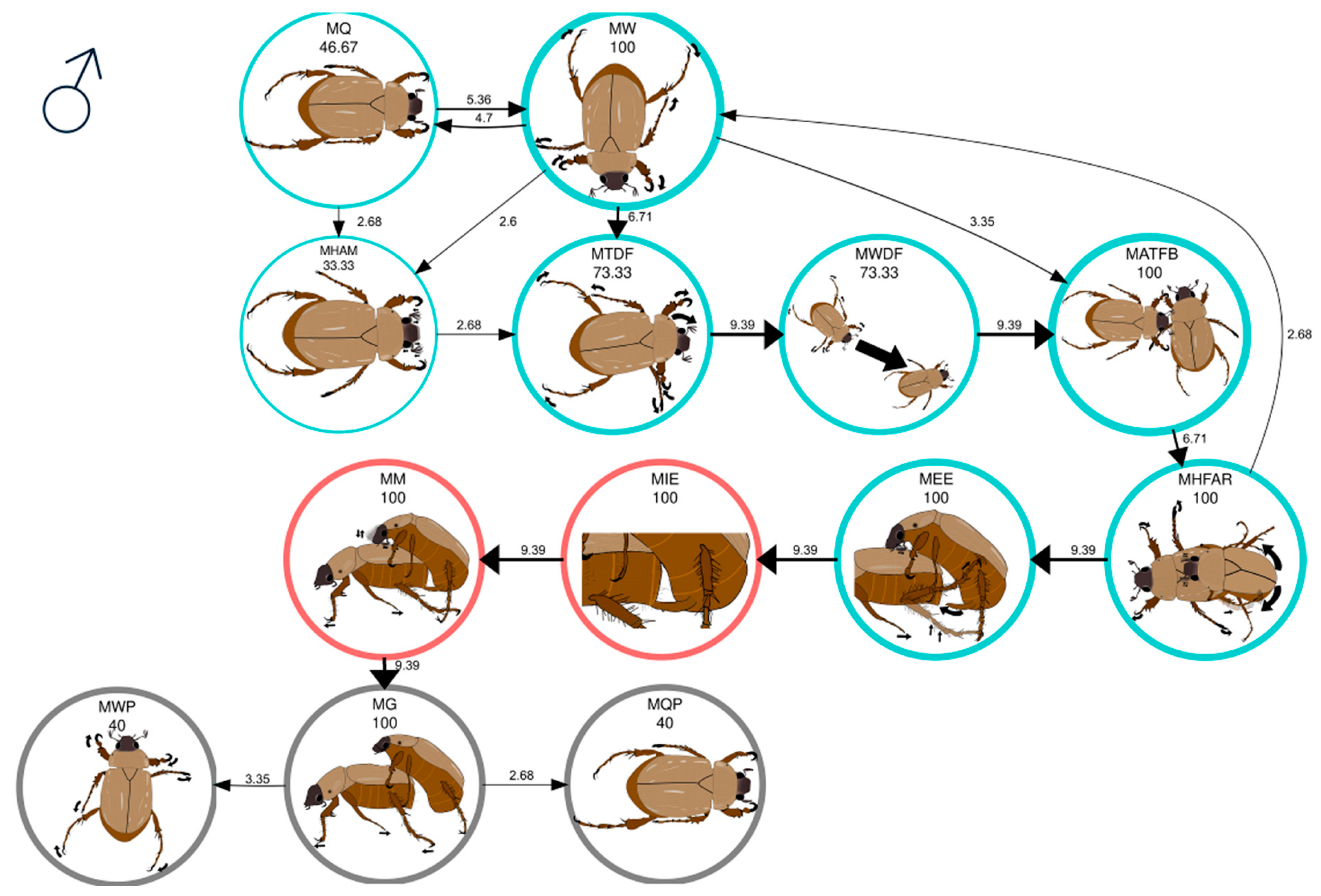 Insects 16 00613 g003 Insects 16 00613 g003