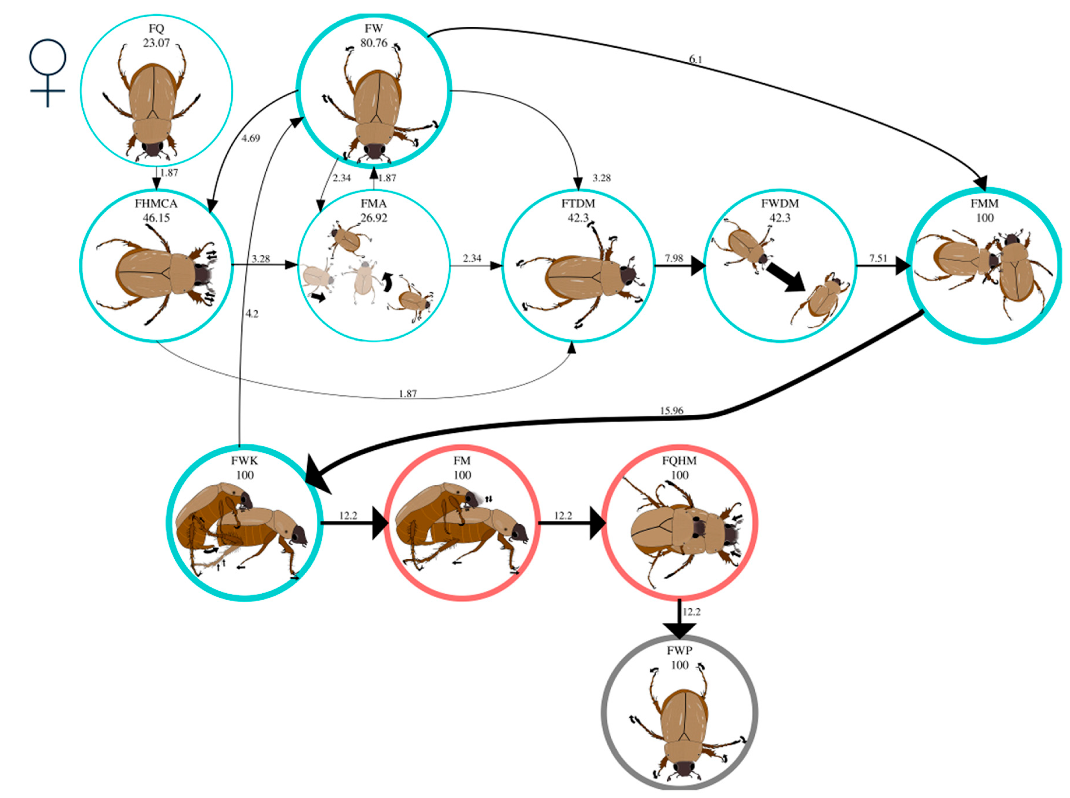 Insects 16 00613 g004 Insects 16 00613 g004