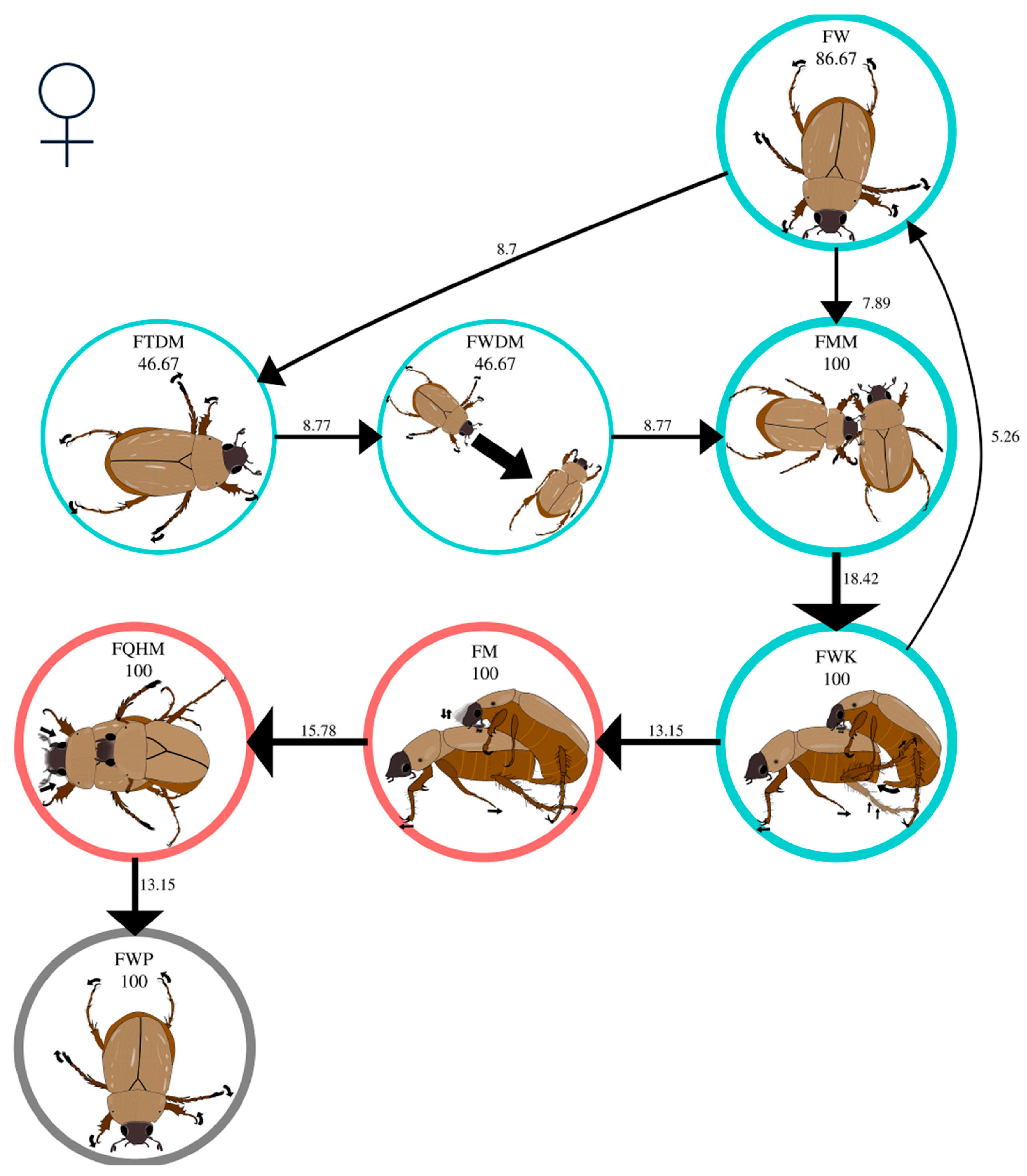 Insects 16 00613 g005 Insects 16 00613 g005