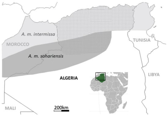 Insects 16 00617 g001