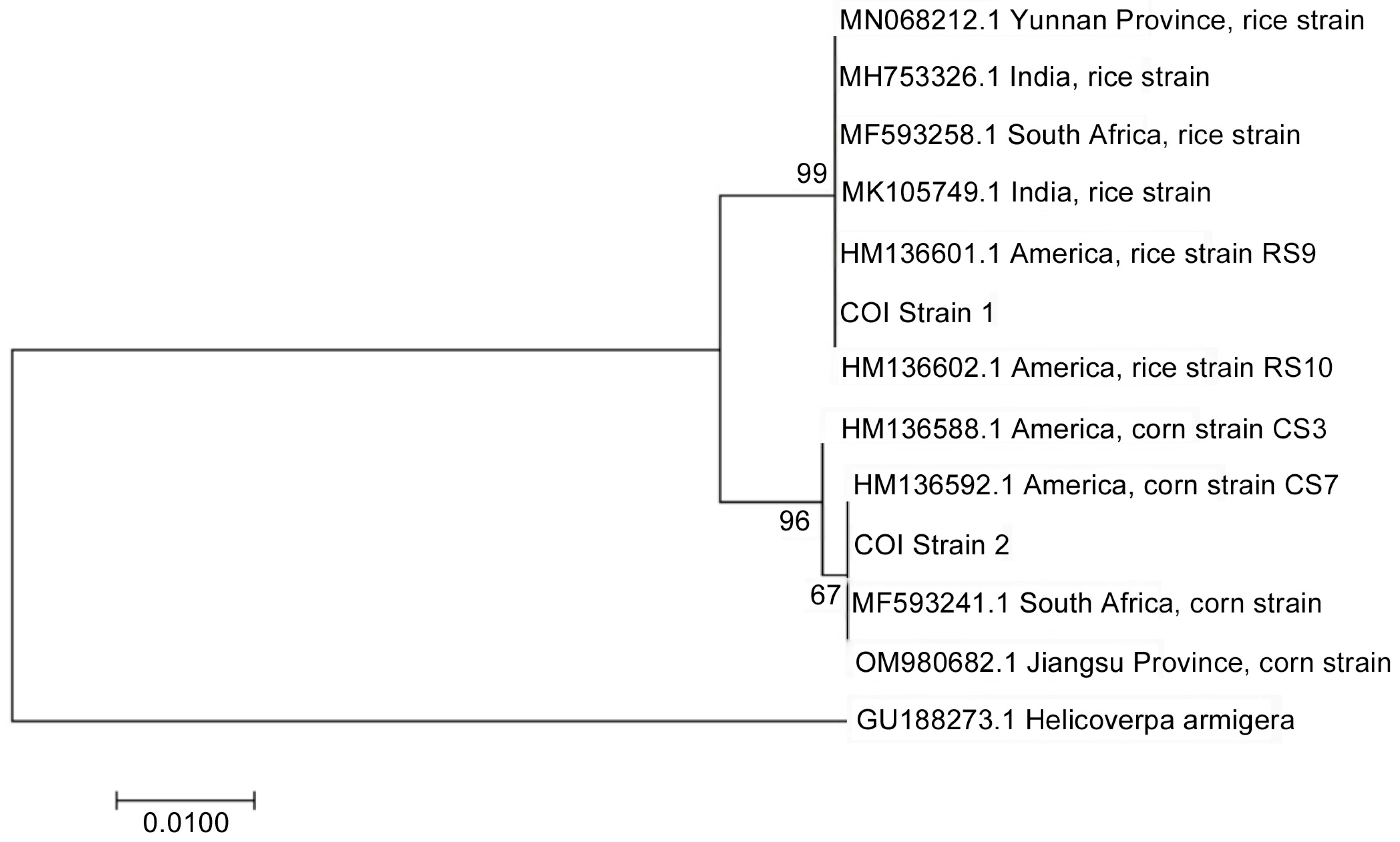 Insects 16 00620 g002