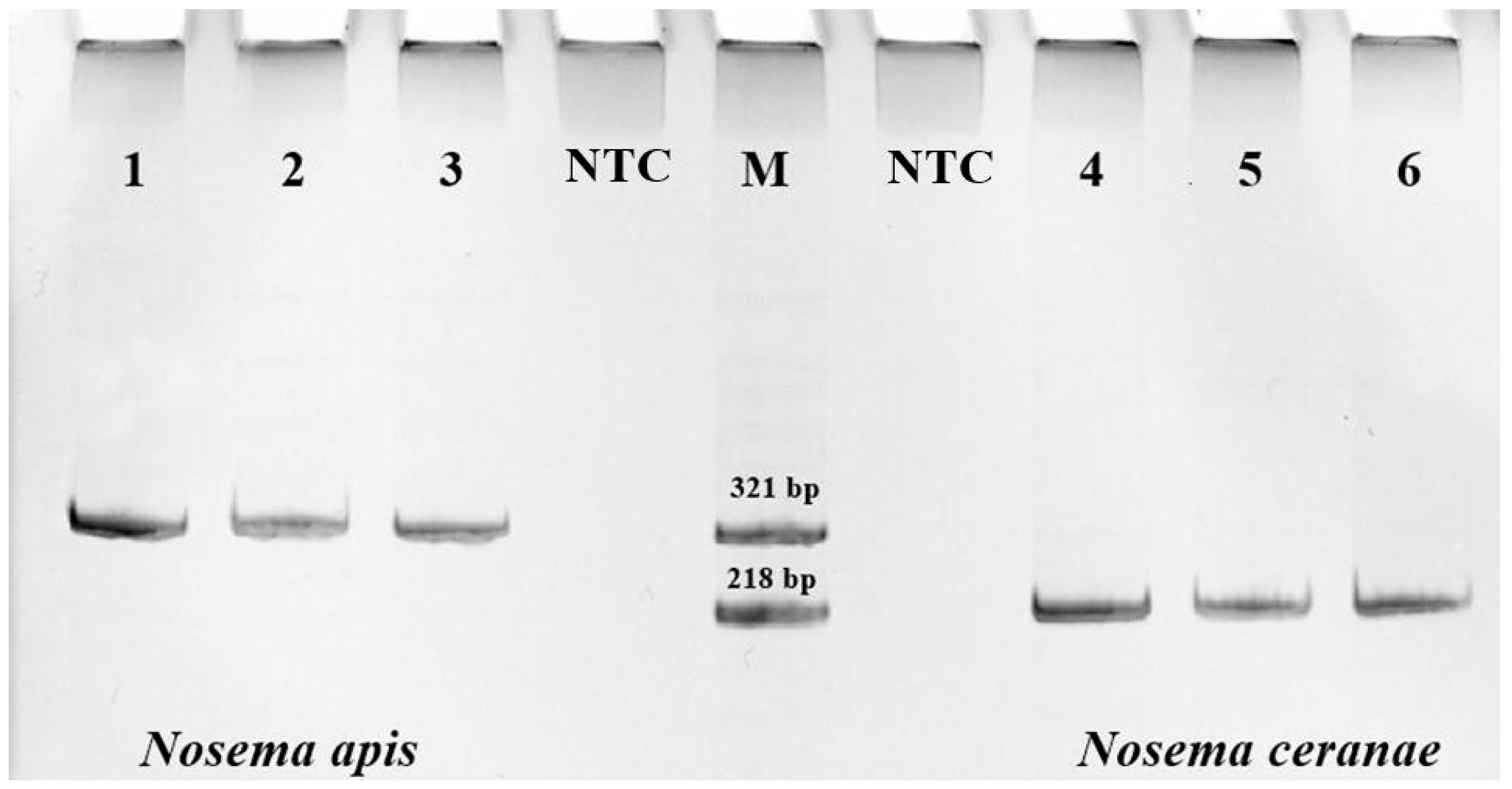 Insects 16 00641 g002