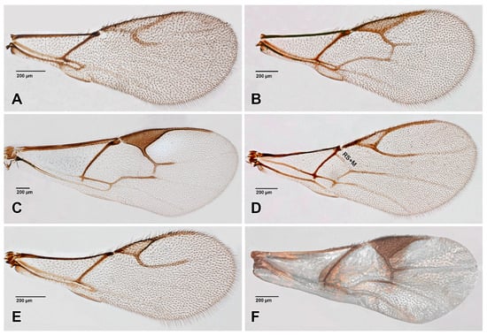 Insects 16 00648 g005