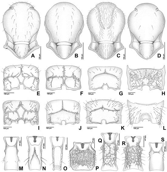 Insects 16 00648 g006