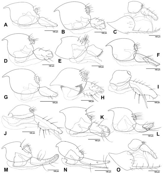 Insects 16 00648 g007