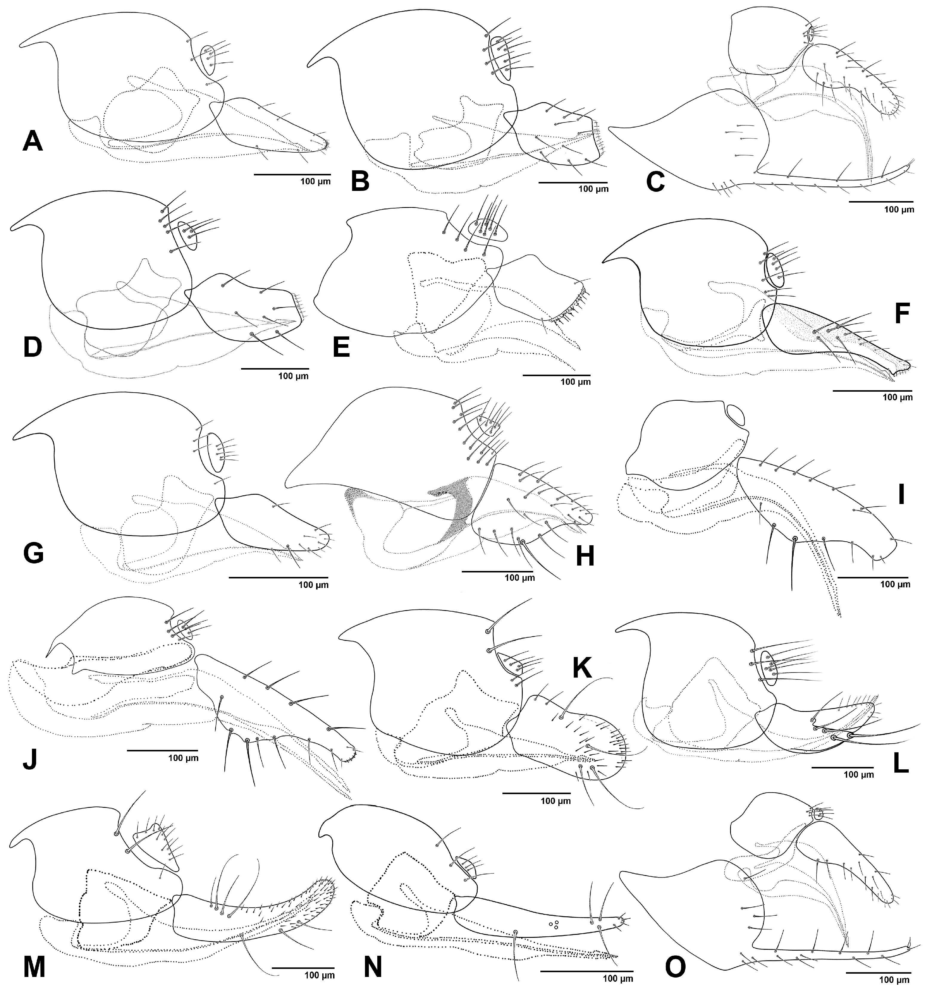 Insects 16 00648 g007