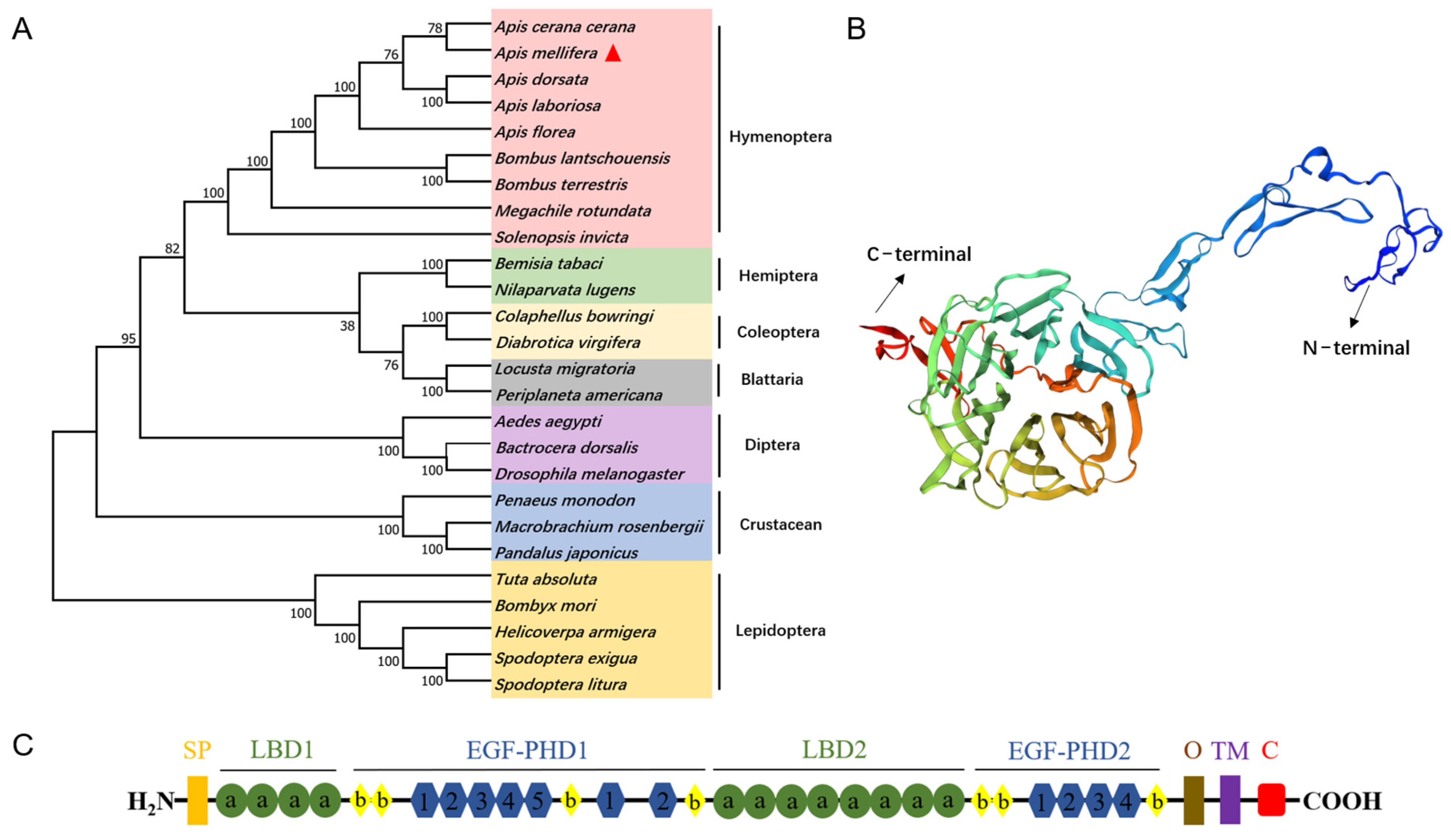Insects 16 00650 g001