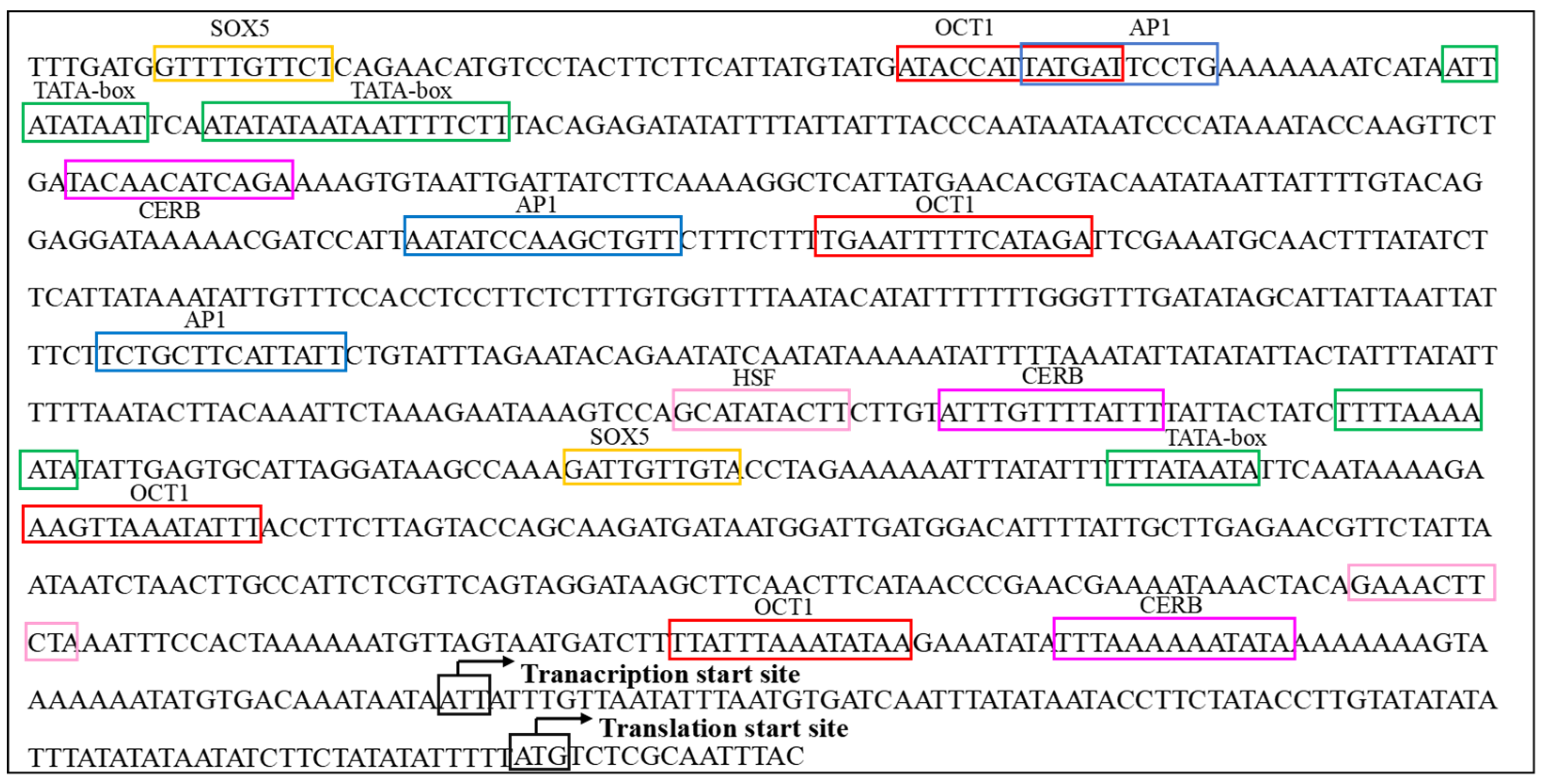 Insects 16 00650 g002