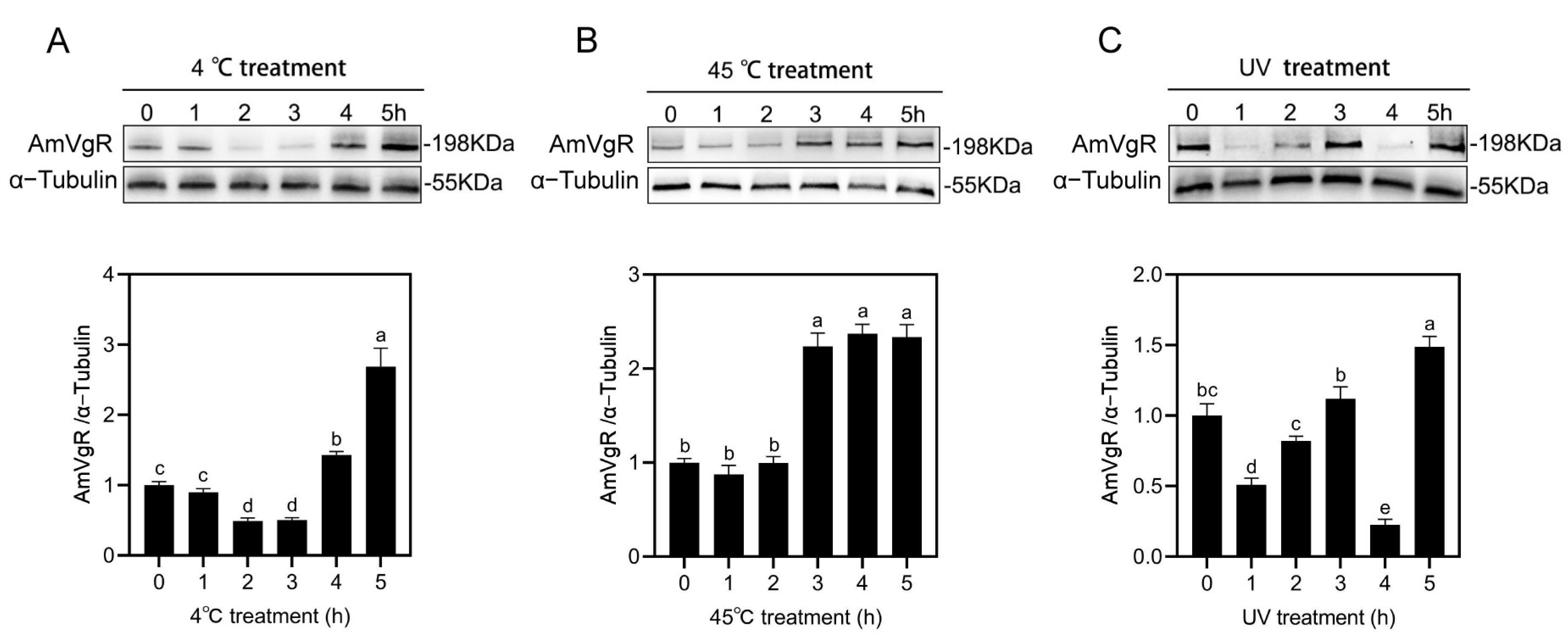 Insects 16 00650 g005