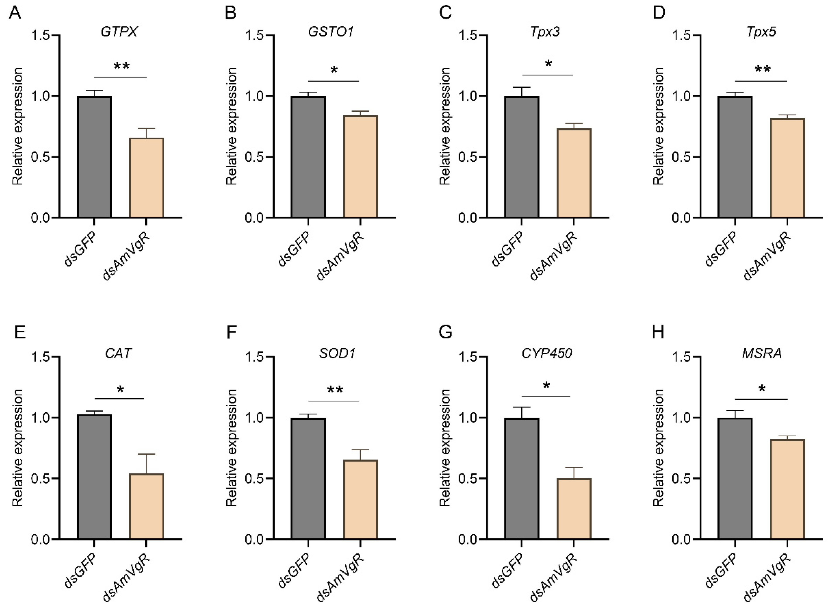Insects 16 00650 g006
