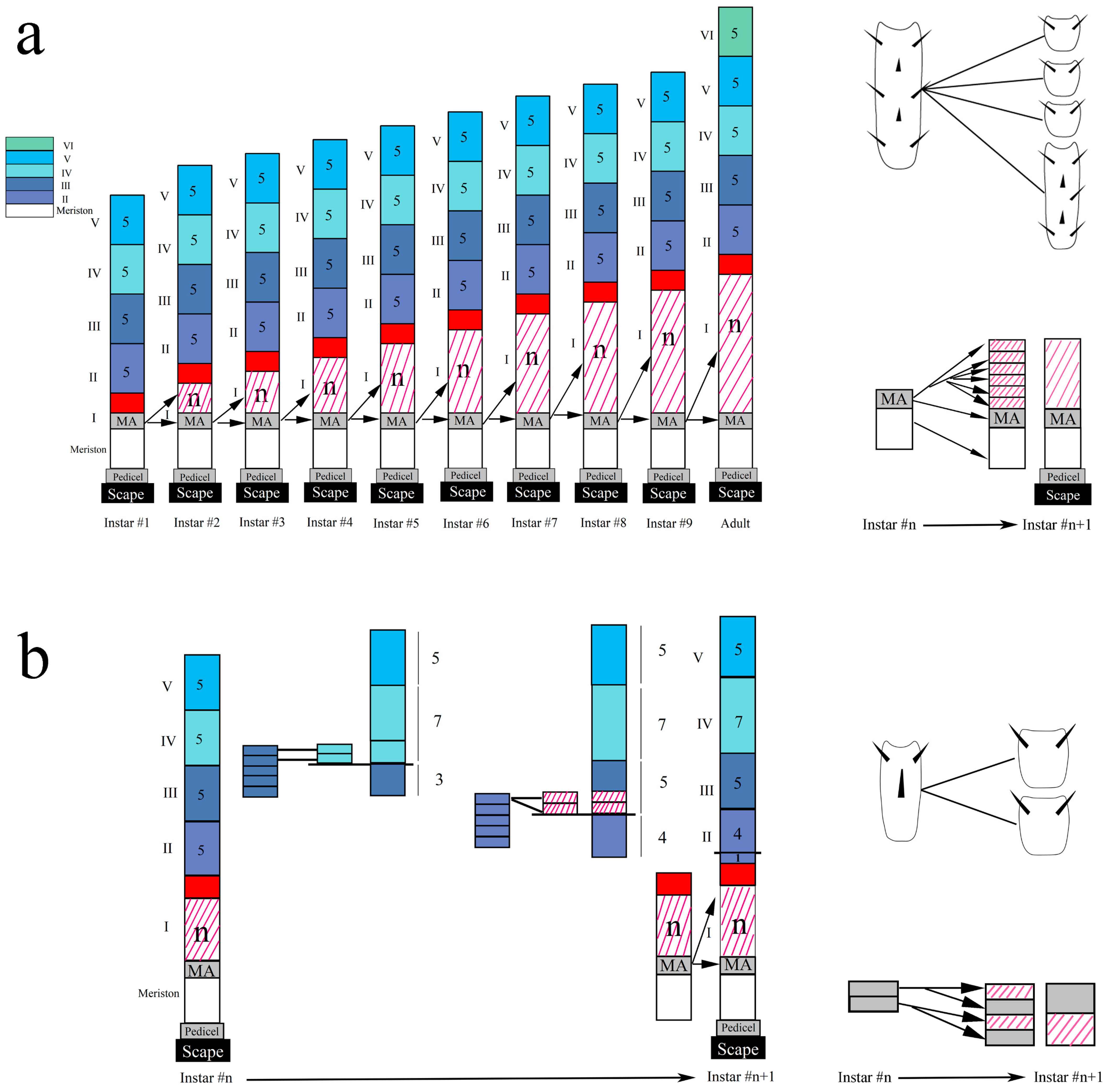 Insects 16 00655 g010