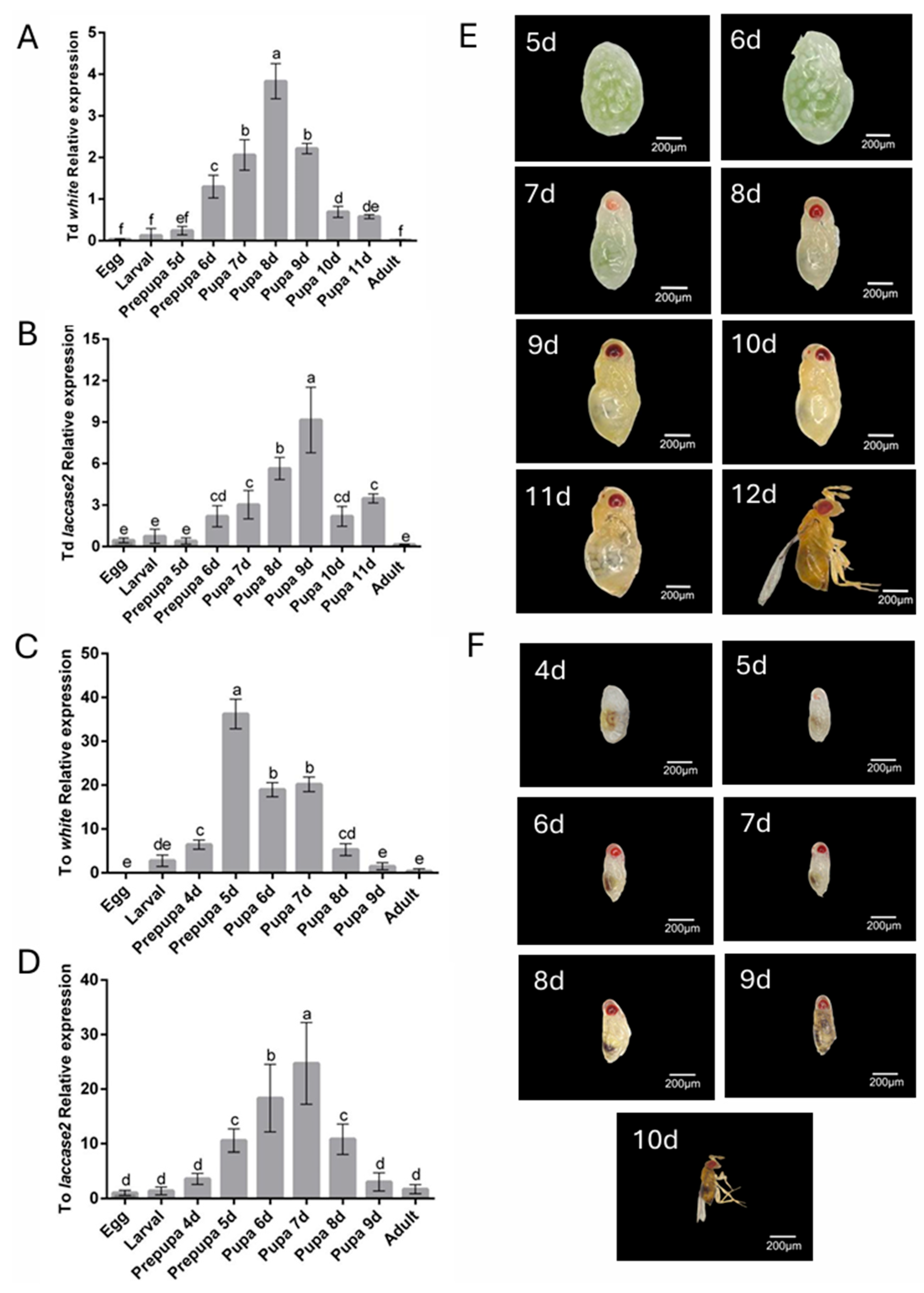 Insects 16 00673 g001