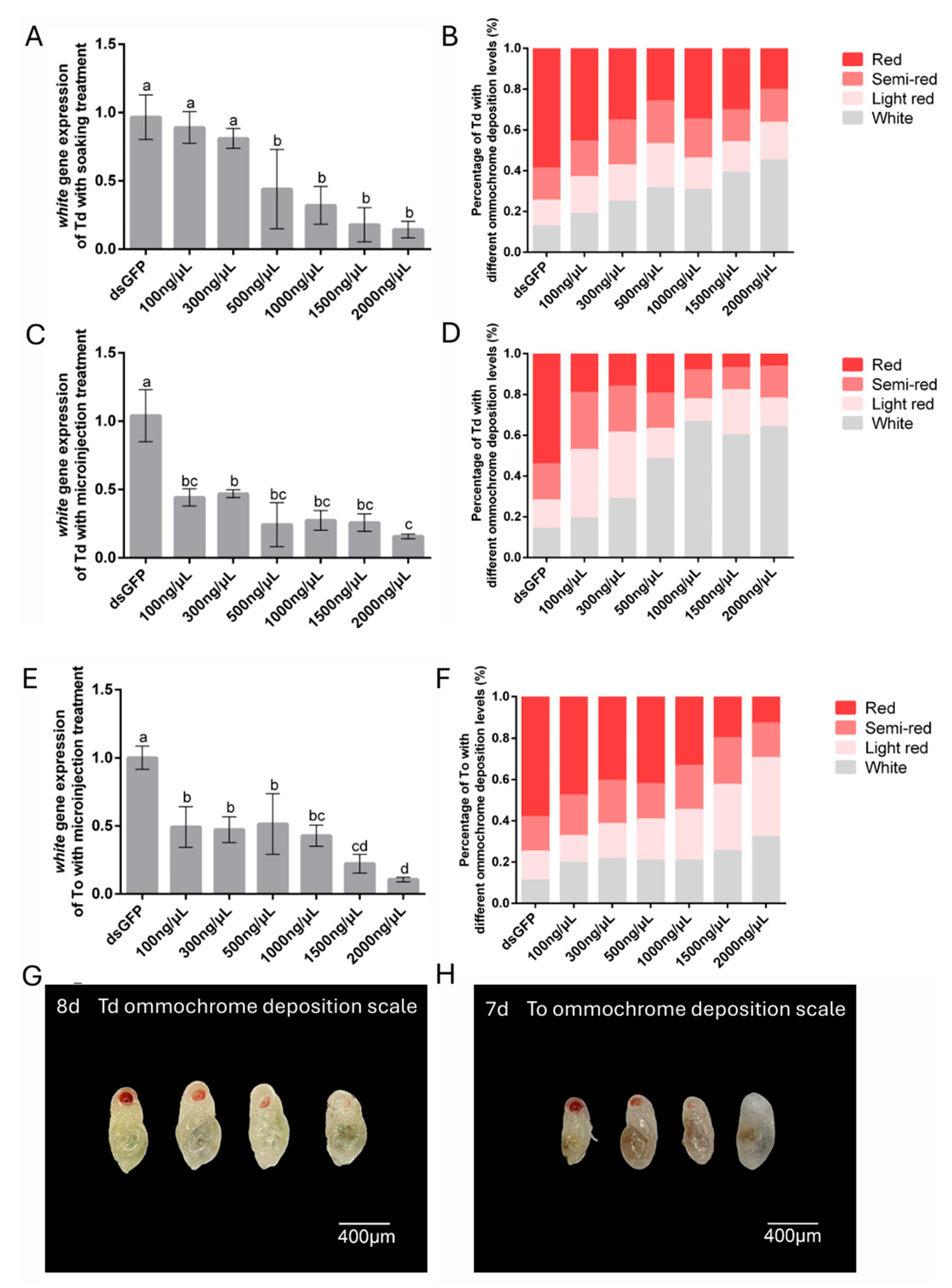 Insects 16 00673 g004