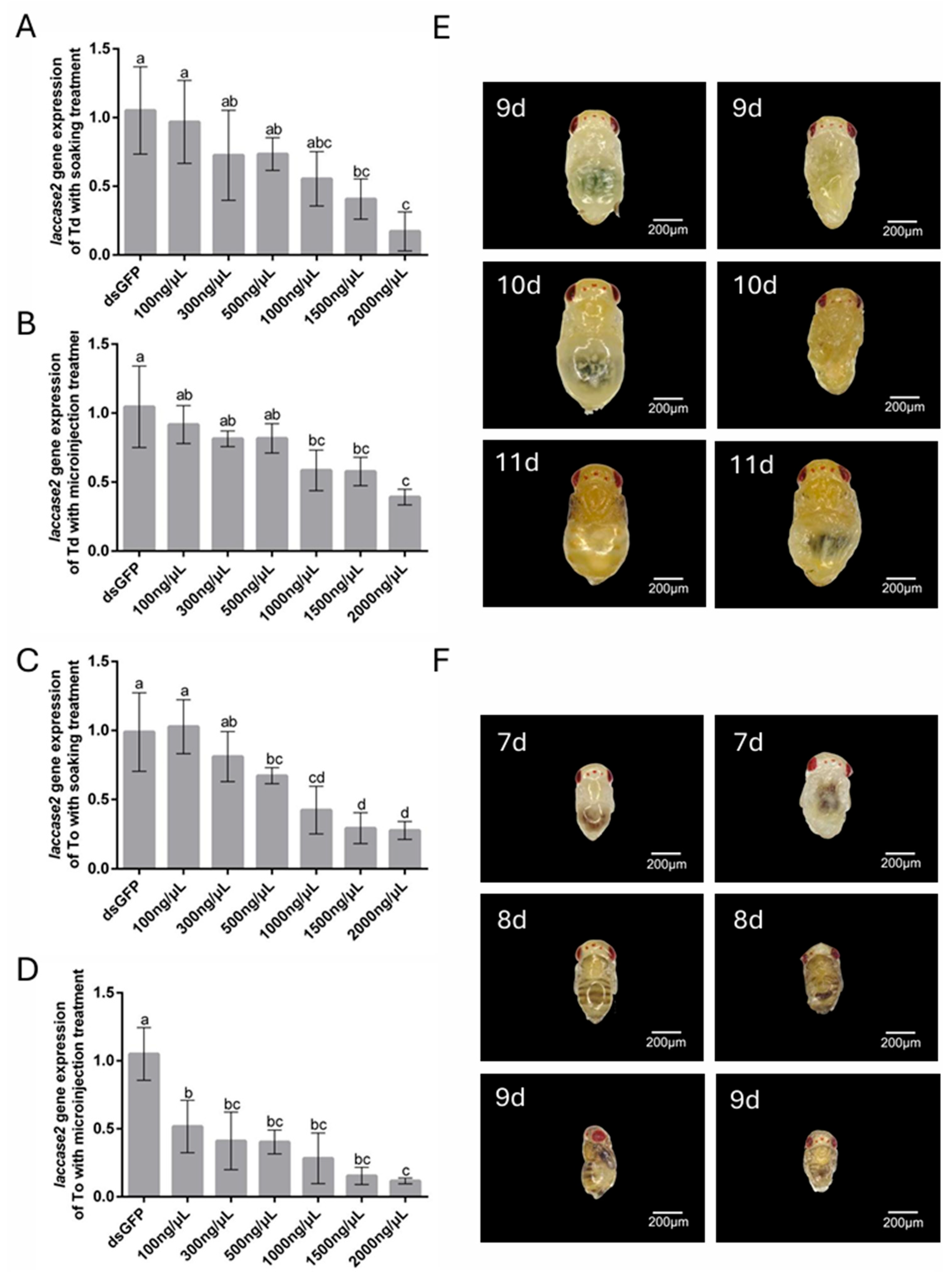 Insects 16 00673 g005
