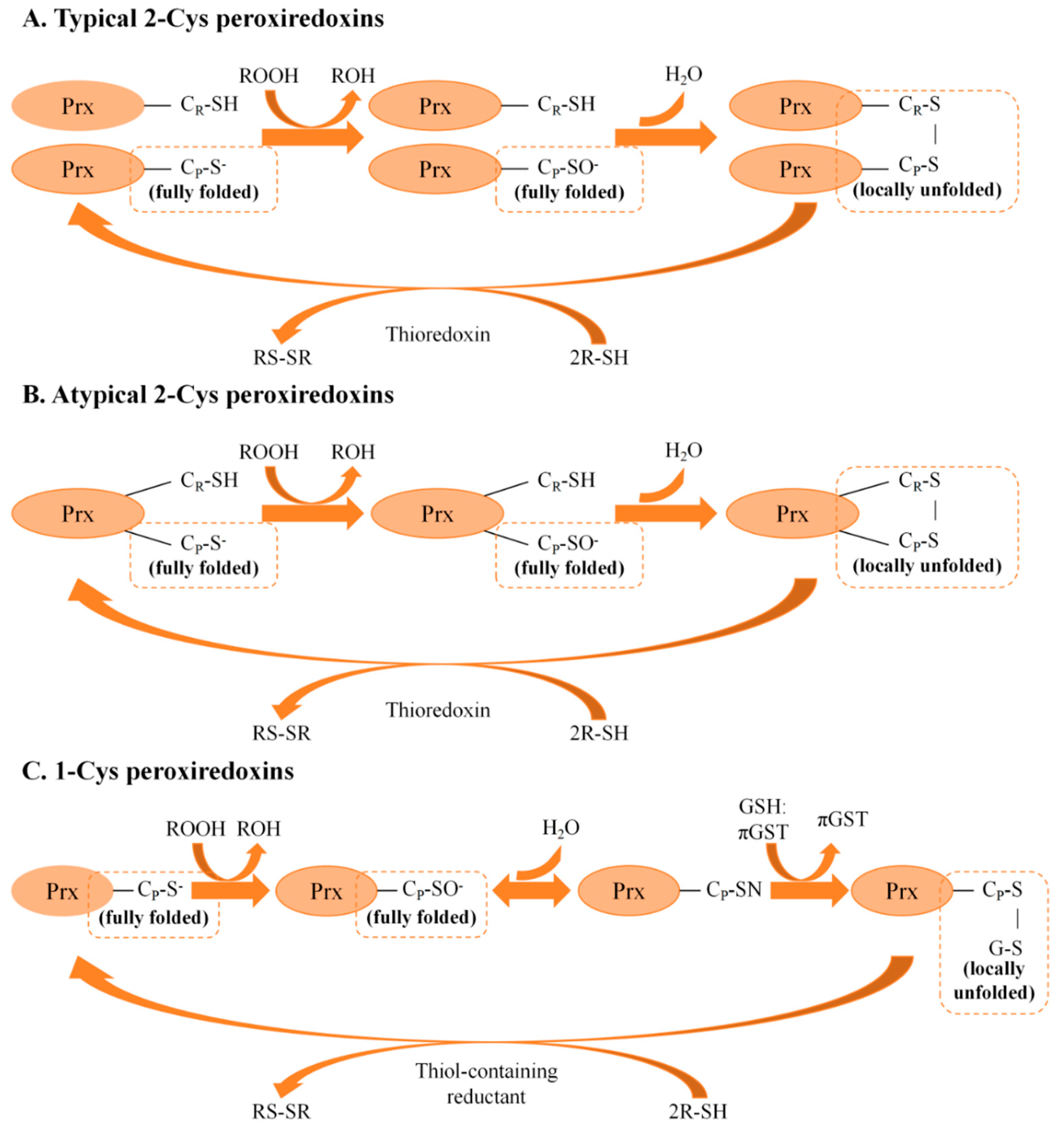 Insects 16 00678 g001