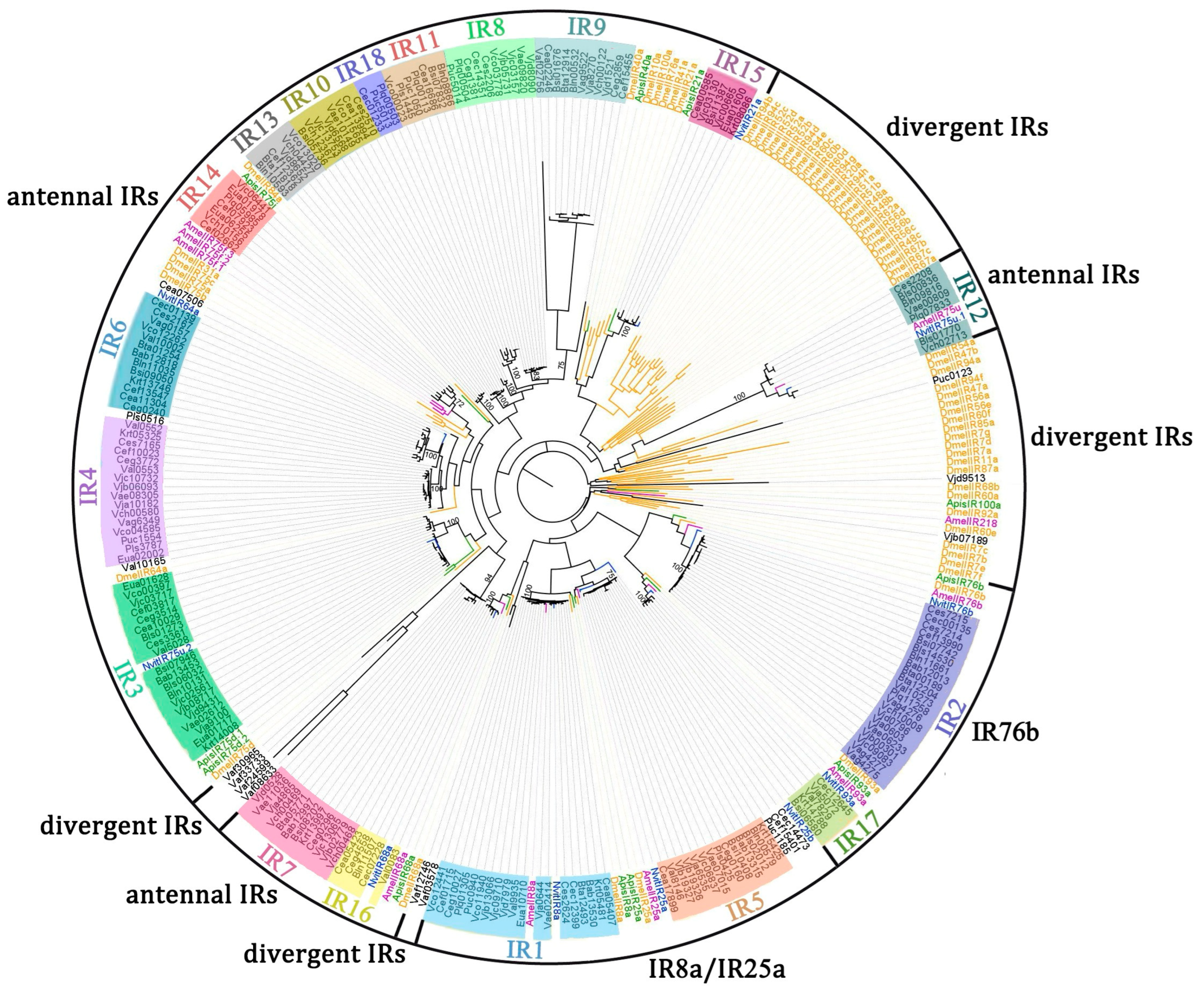 Insects 16 00679 g001
