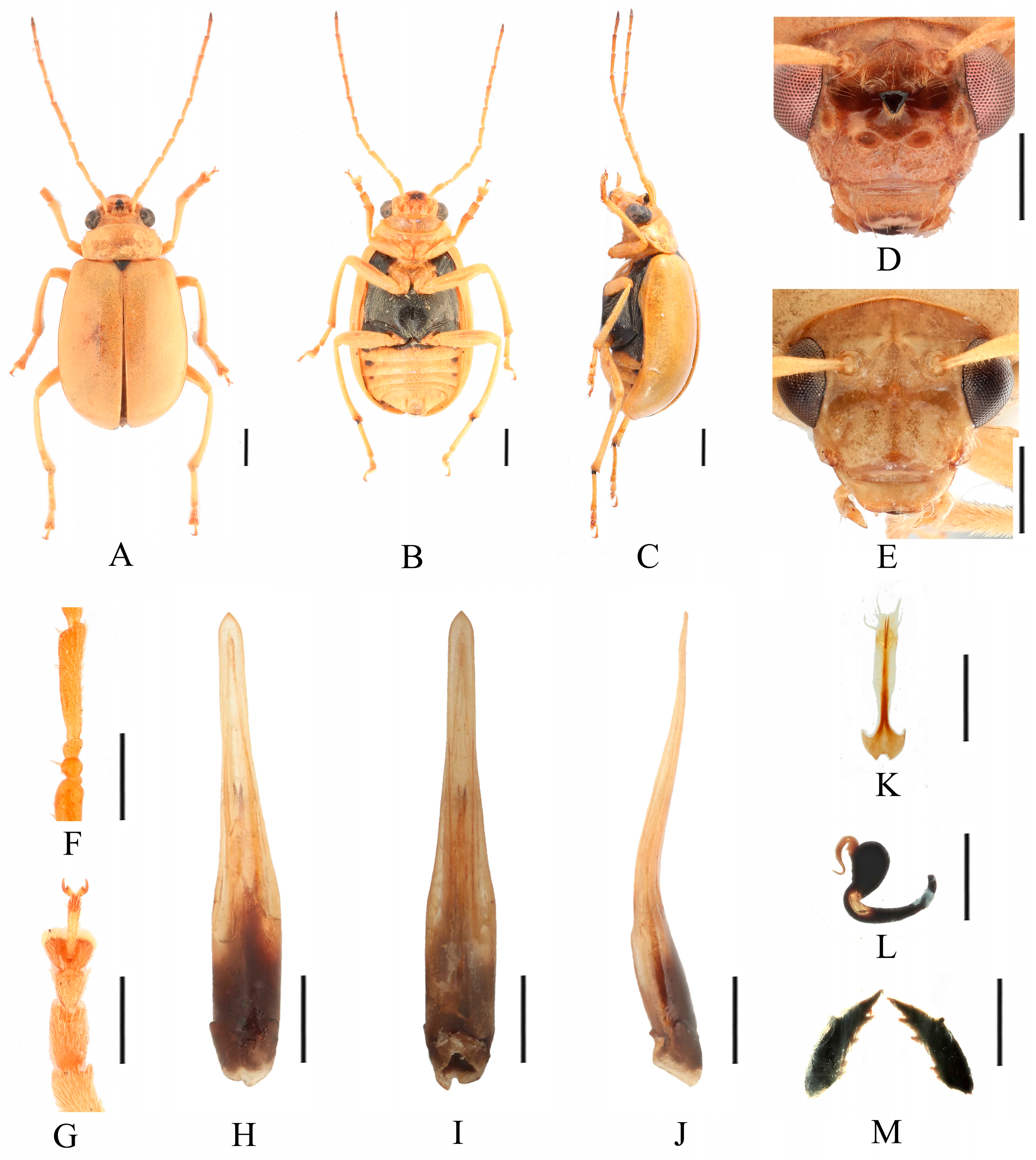 Insects 16 00685 g002