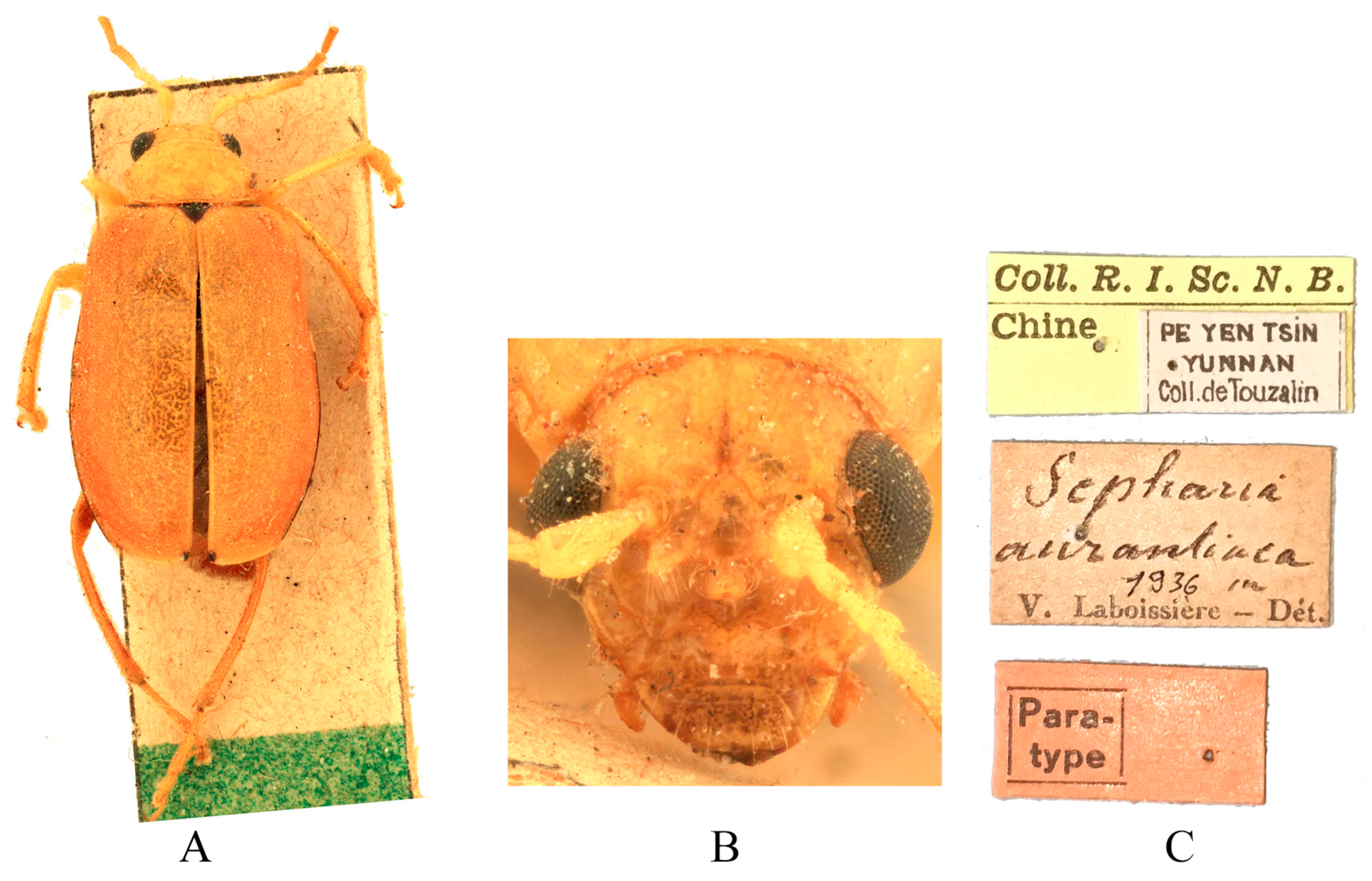 Insects 16 00685 g003
