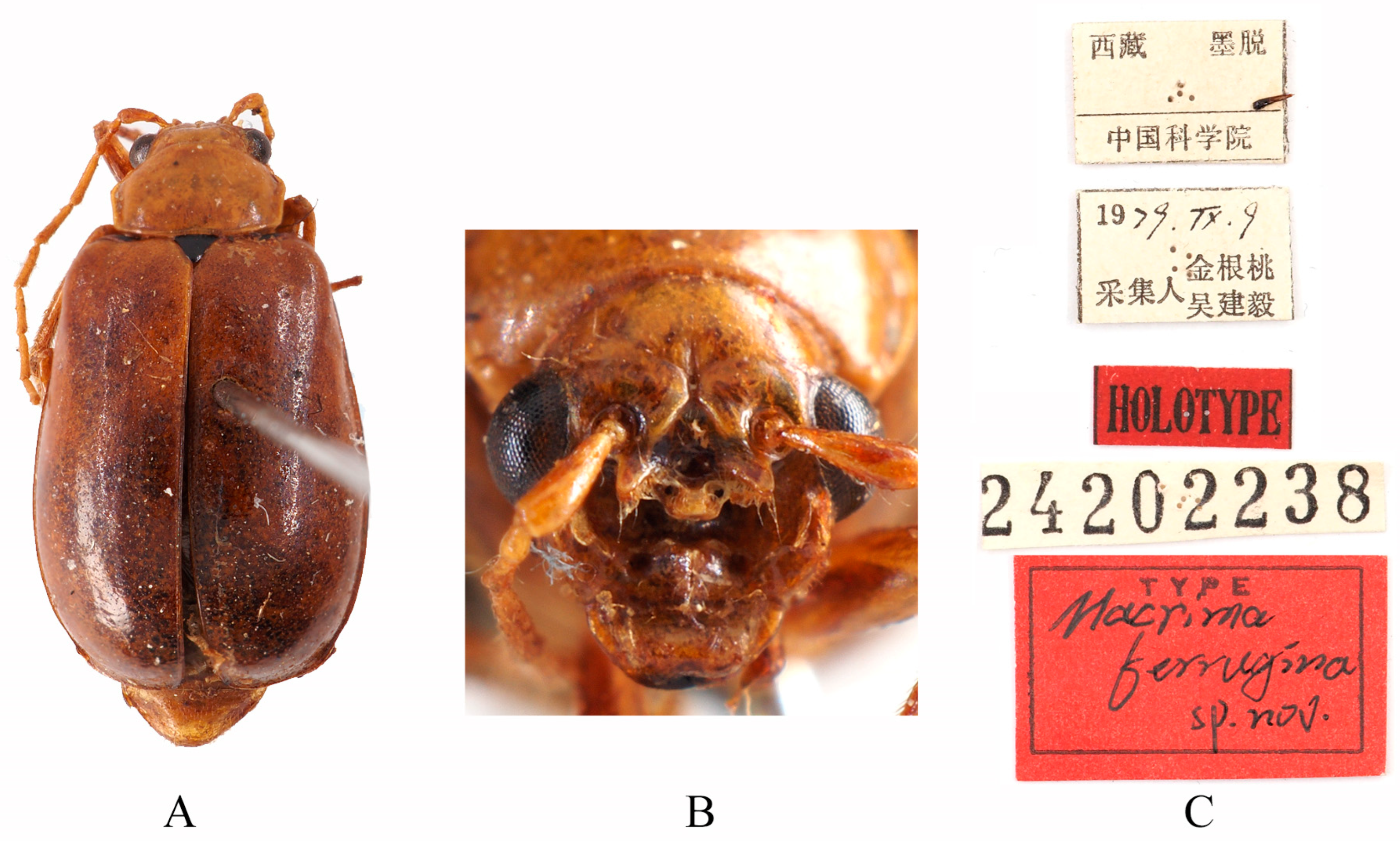 Insects 16 00685 g004