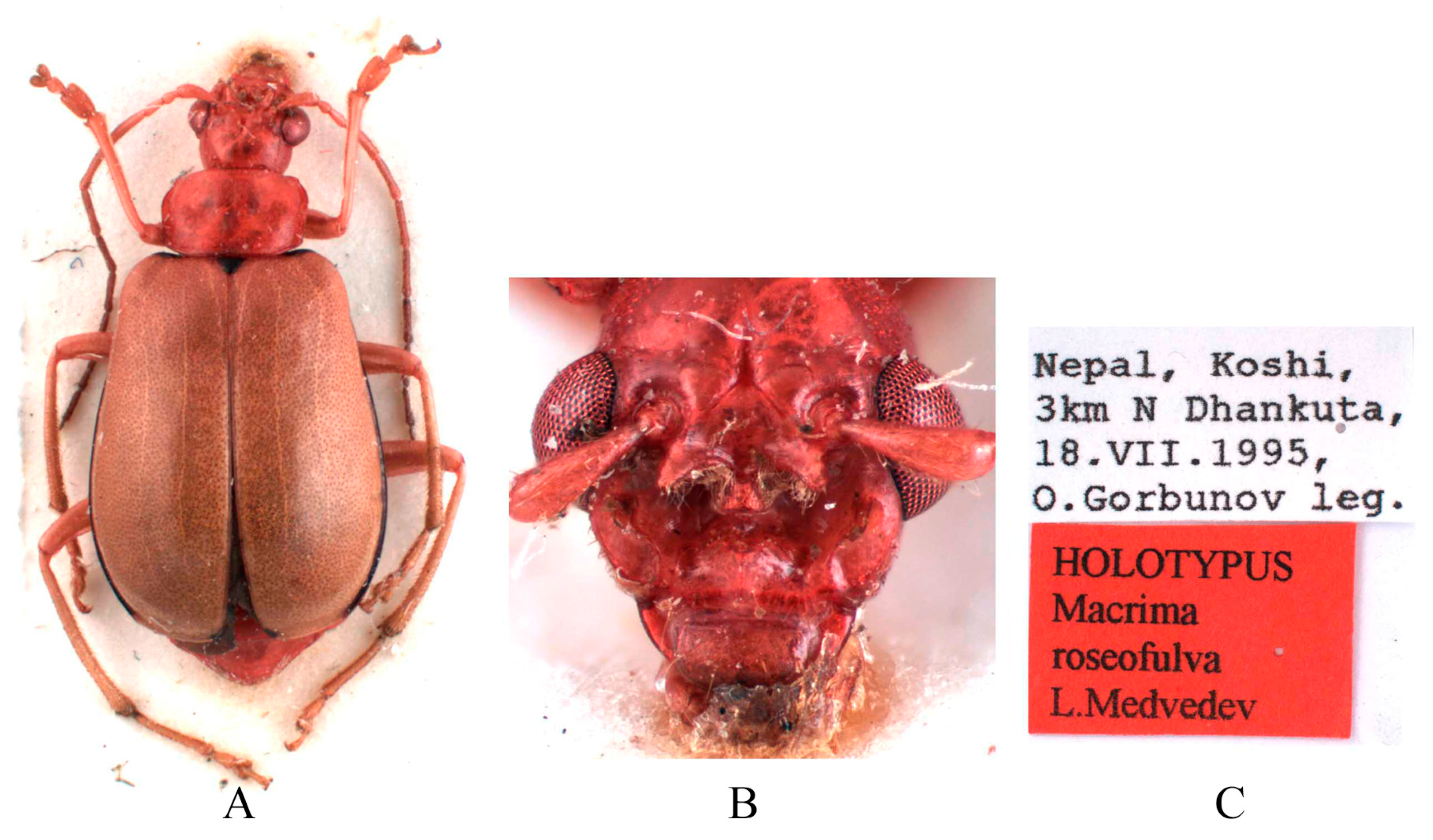 Insects 16 00685 g005
