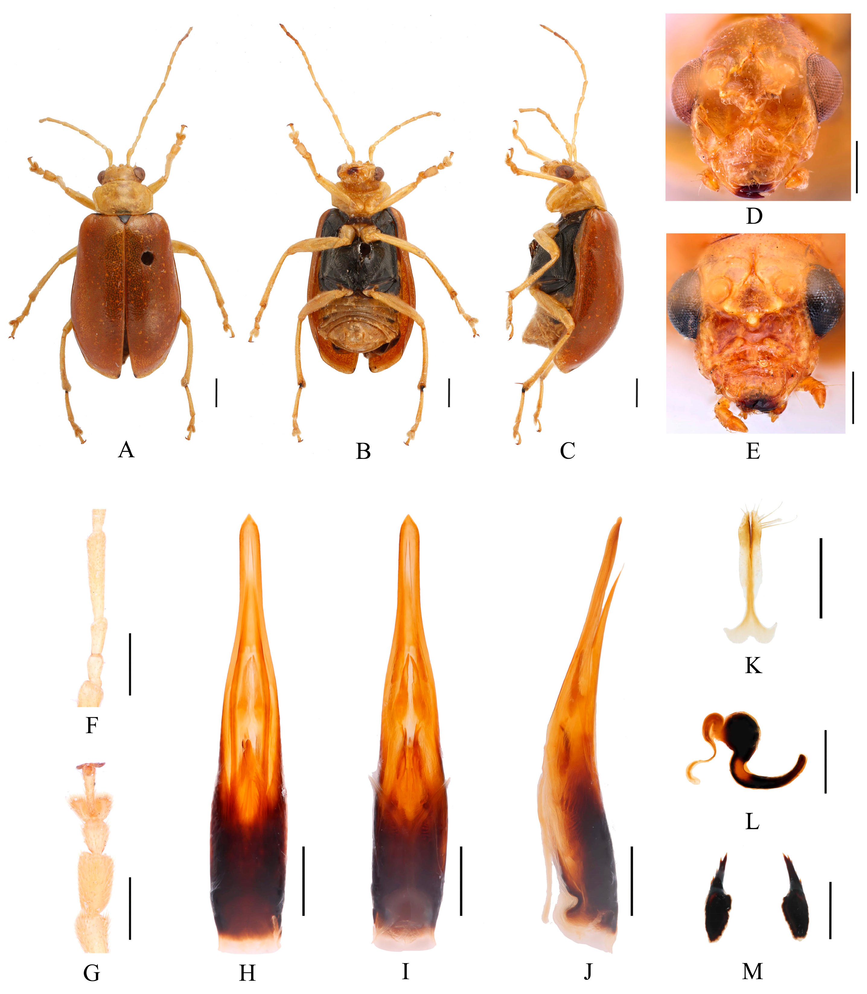 Insects 16 00685 g006