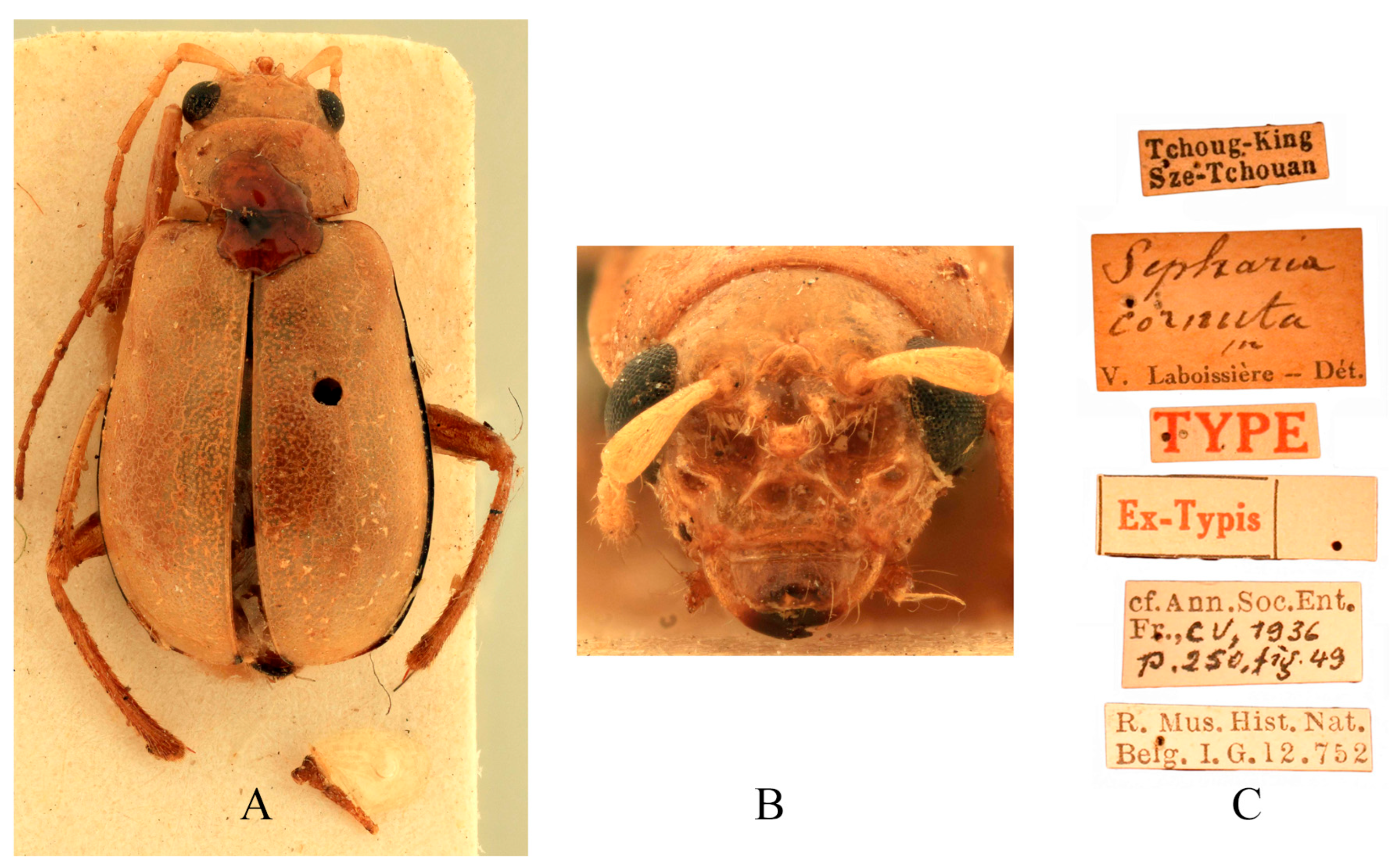 Insects 16 00685 g007