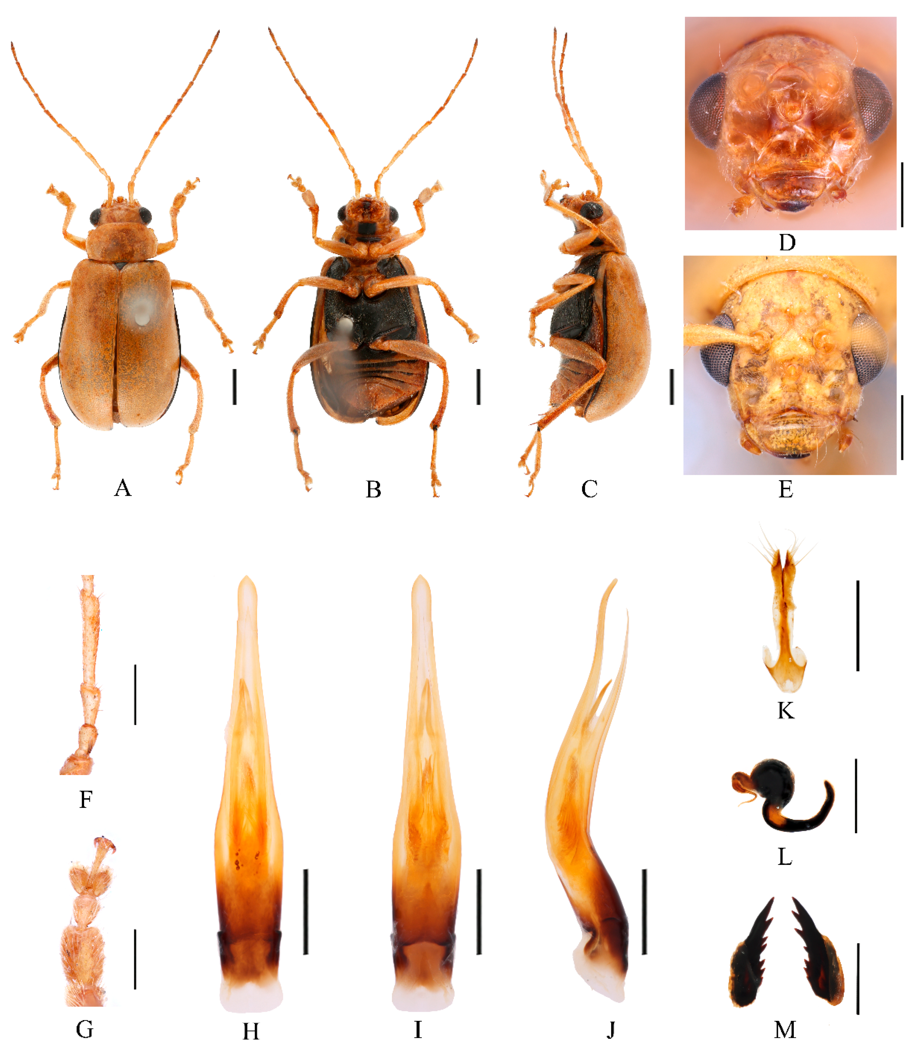 Insects 16 00685 g009