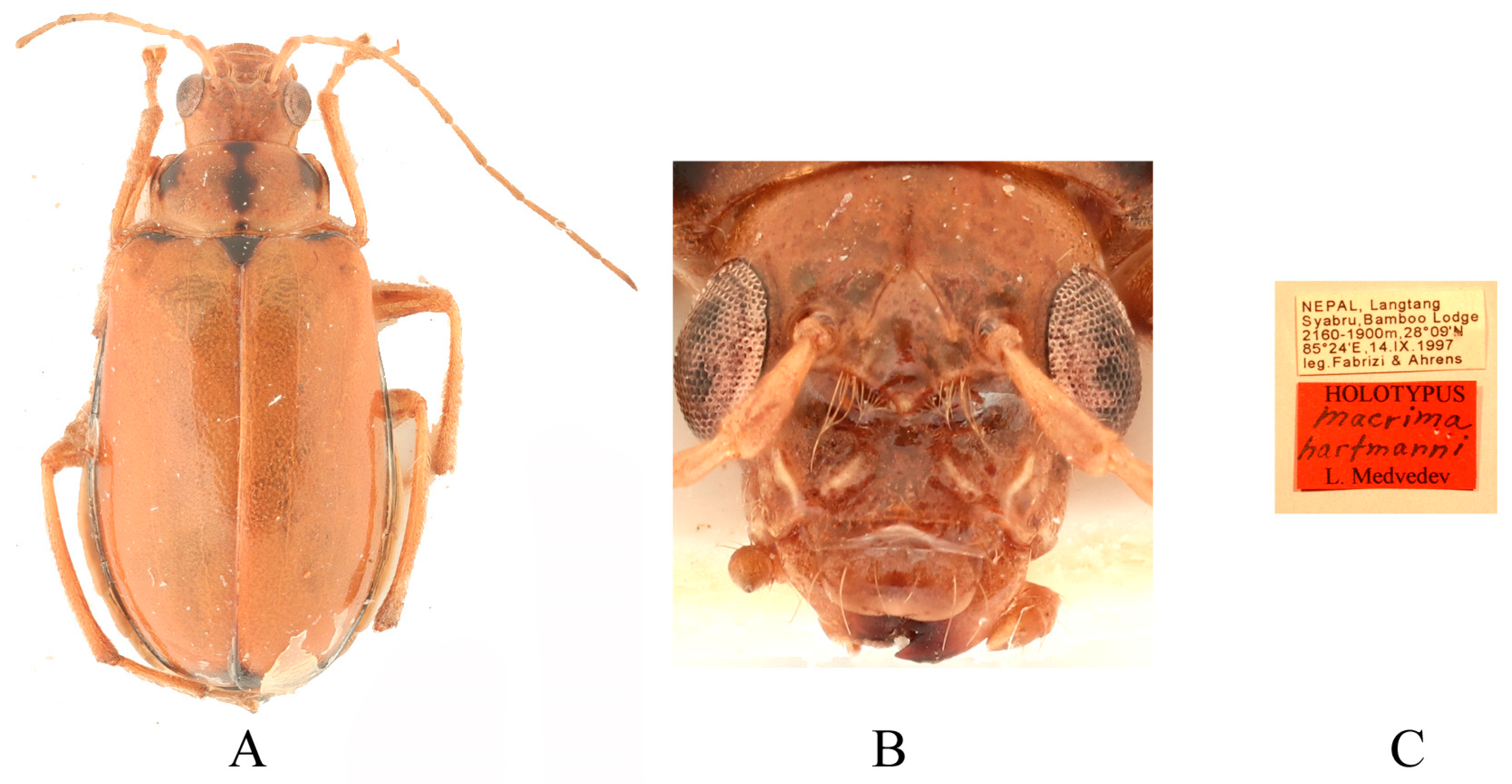 Insects 16 00685 g010