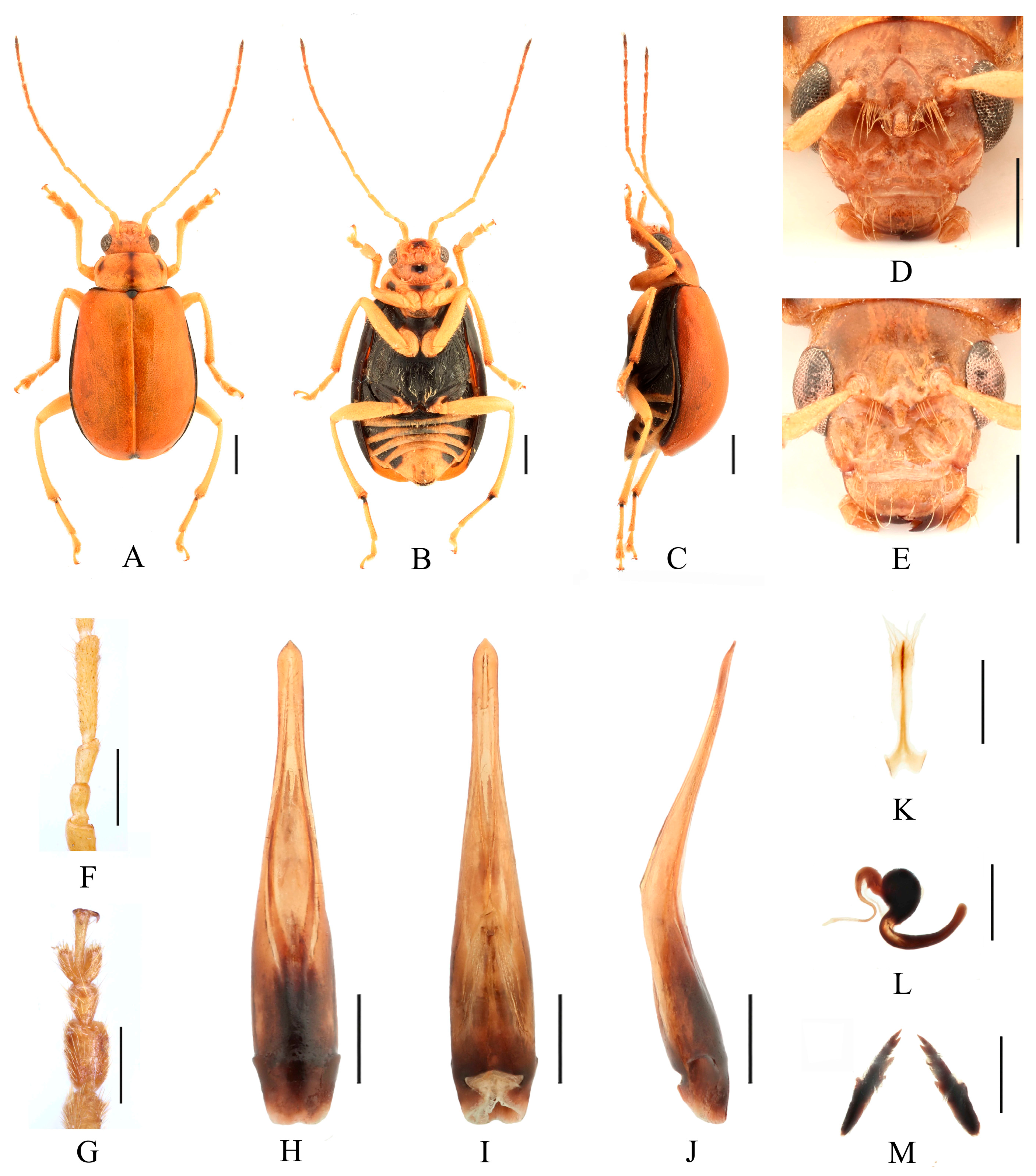 Insects 16 00685 g011