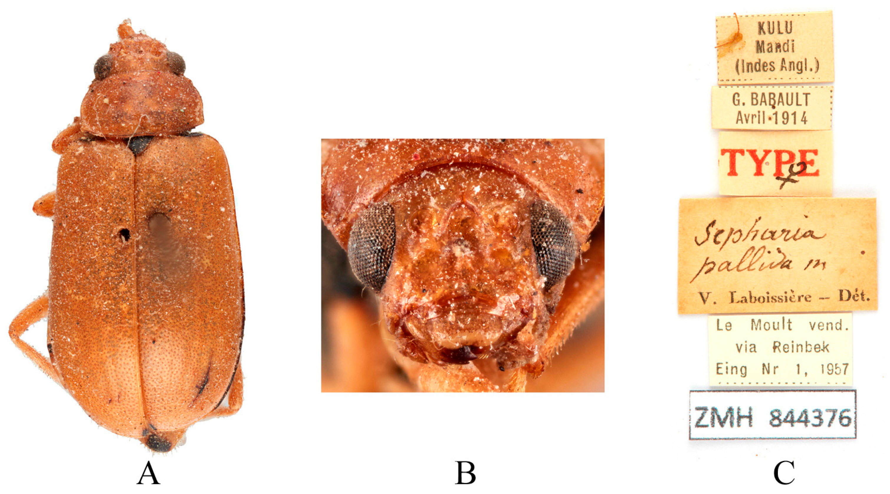 Insects 16 00685 g012