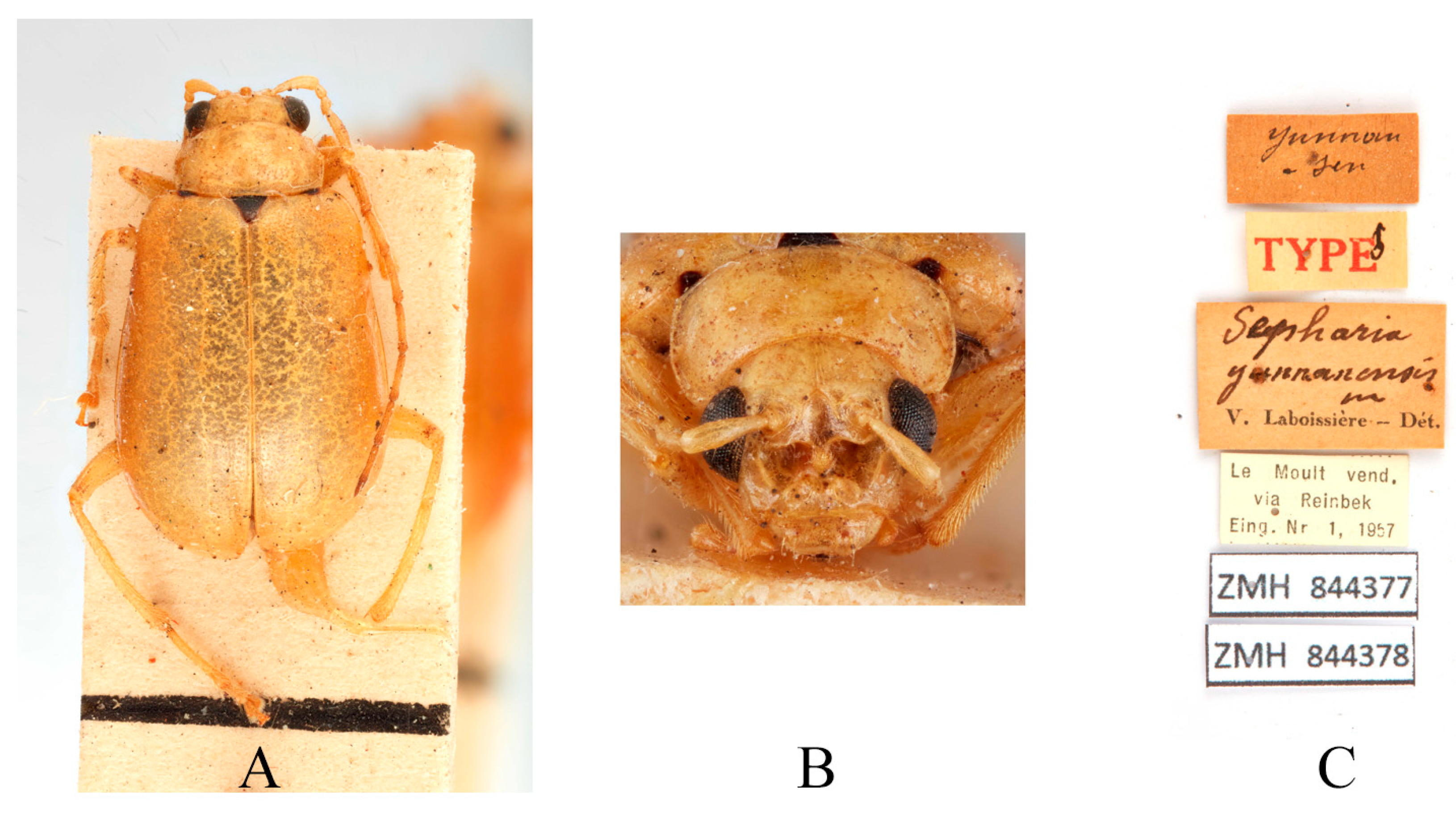 Insects 16 00685 g013