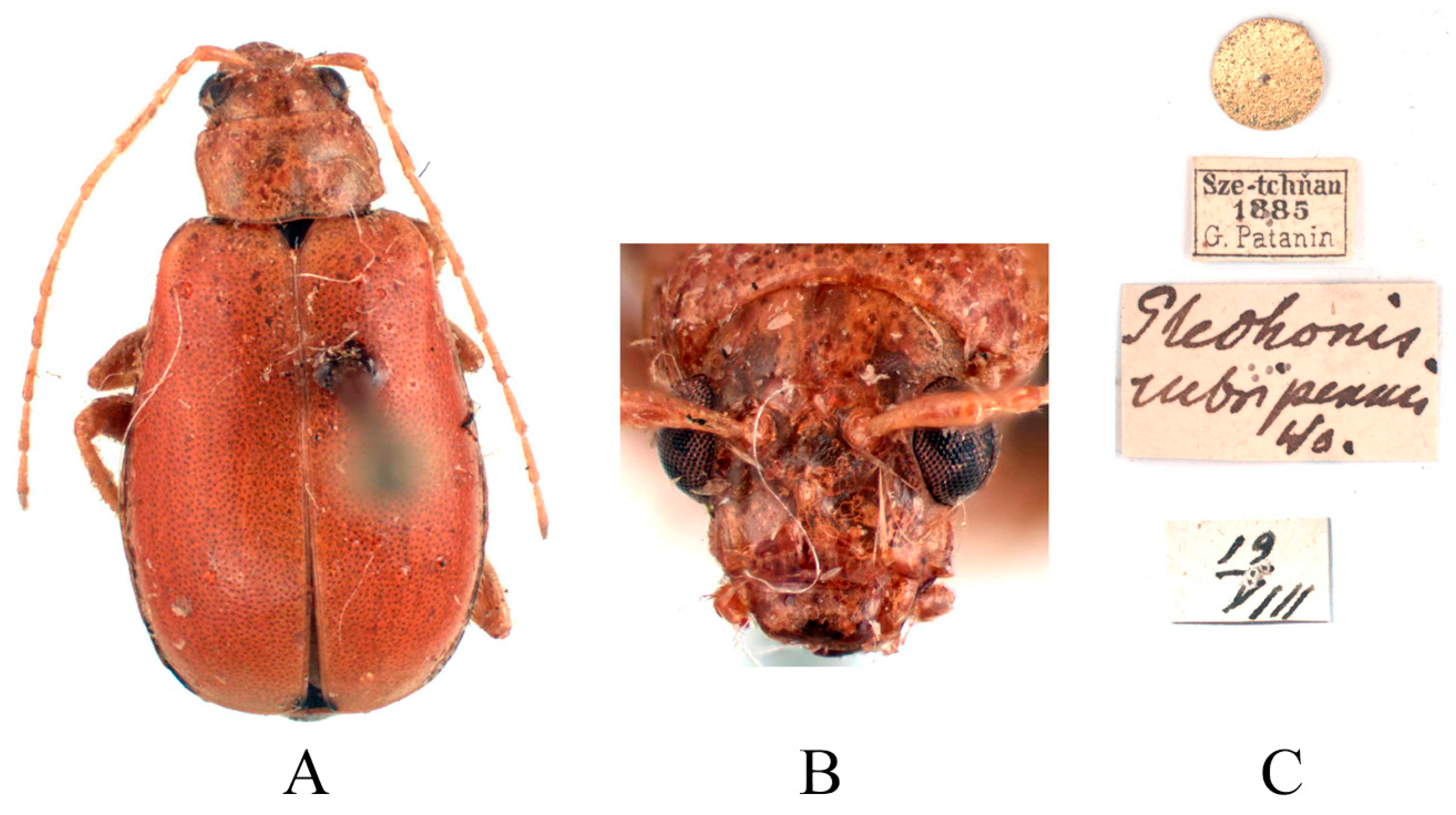 Insects 16 00685 g015