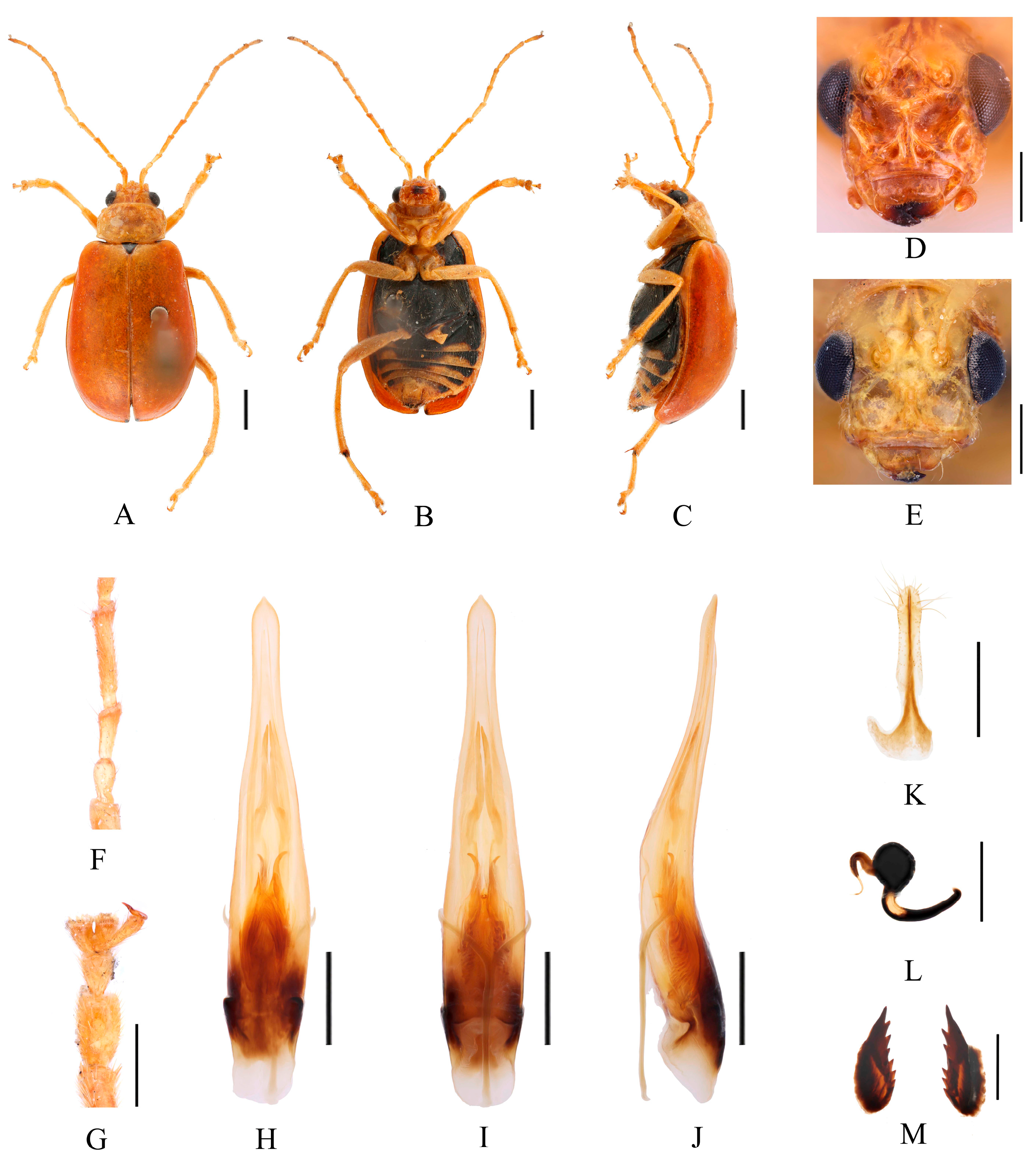 Insects 16 00685 g016