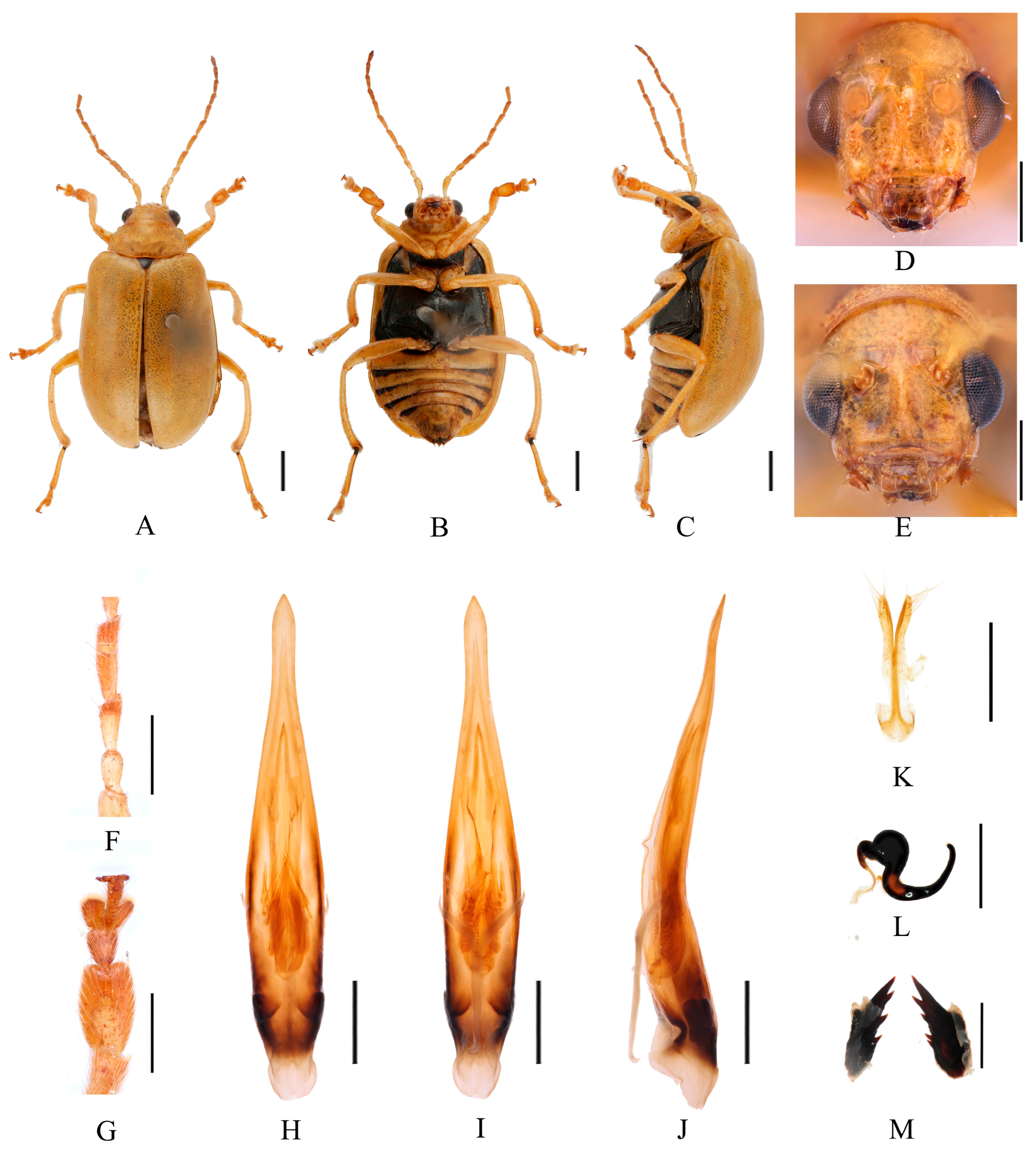 Insects 16 00685 g018