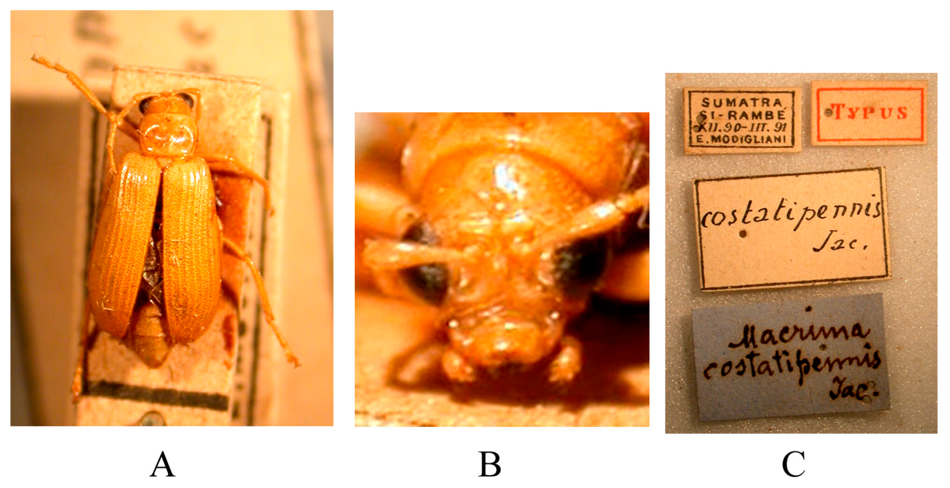 Insects 16 00685 g019