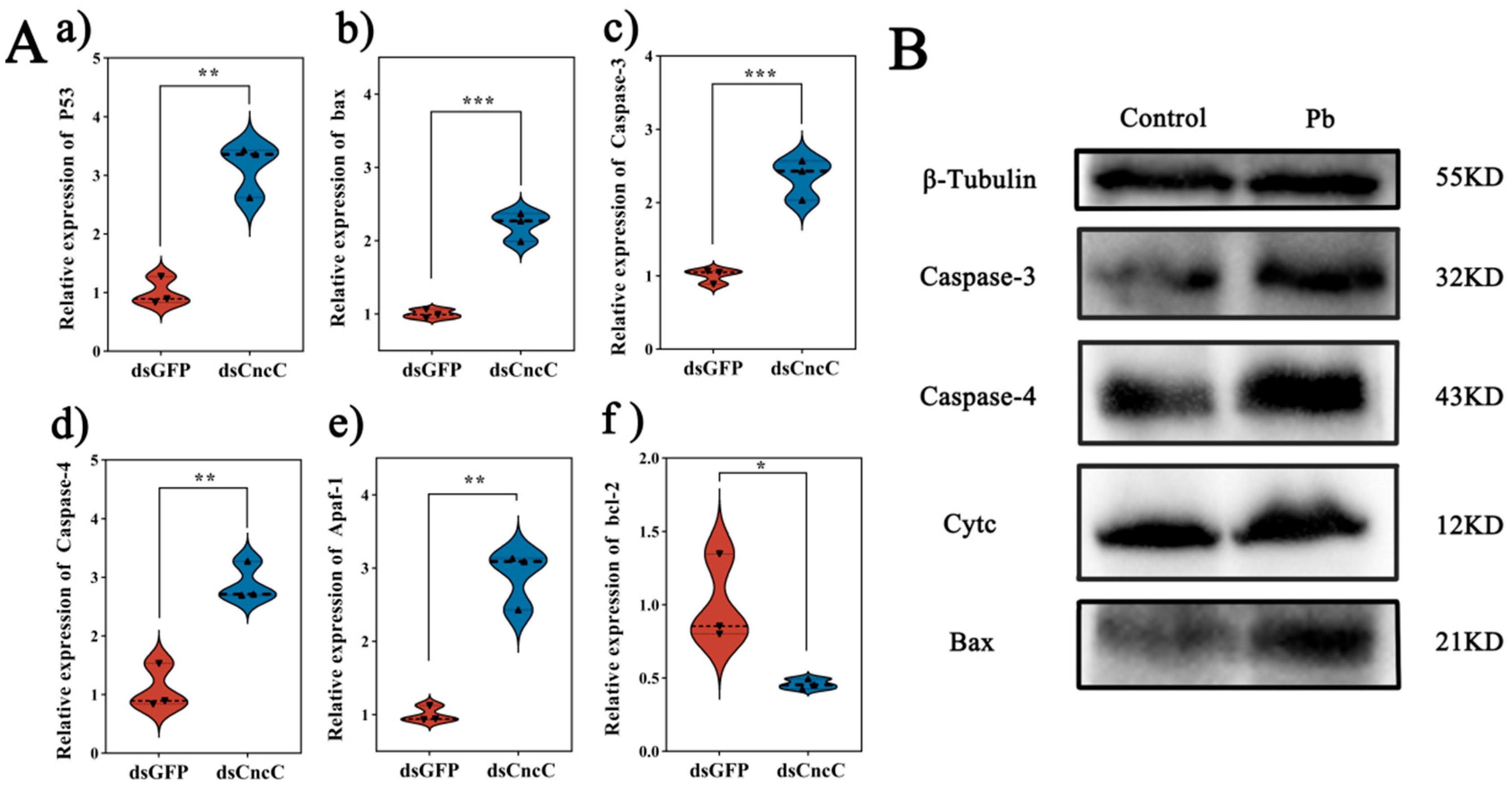 Insects 16 00699 g008