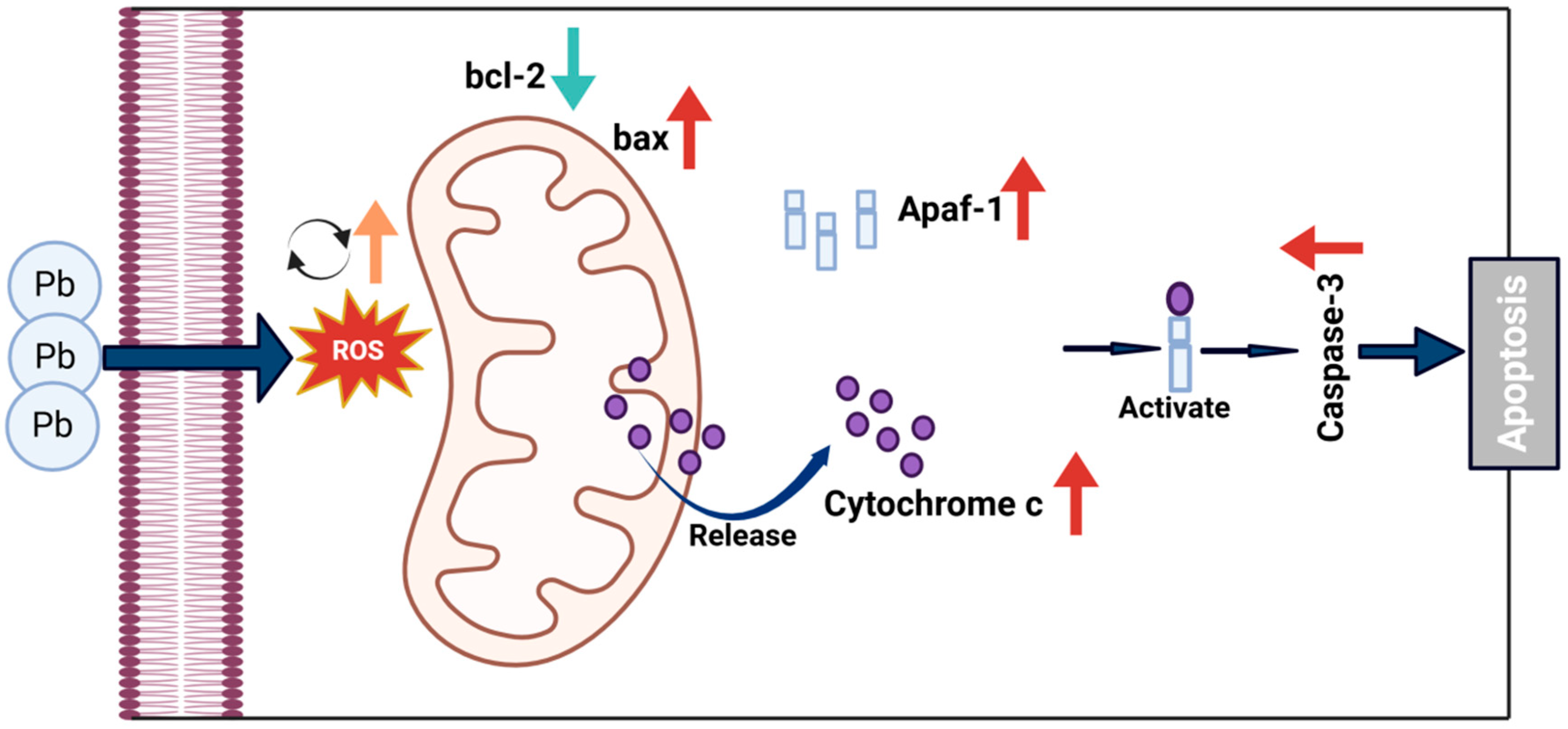 Insects 16 00699 g009