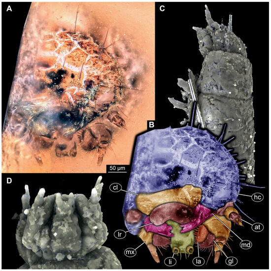 Insects 16 00710 g008