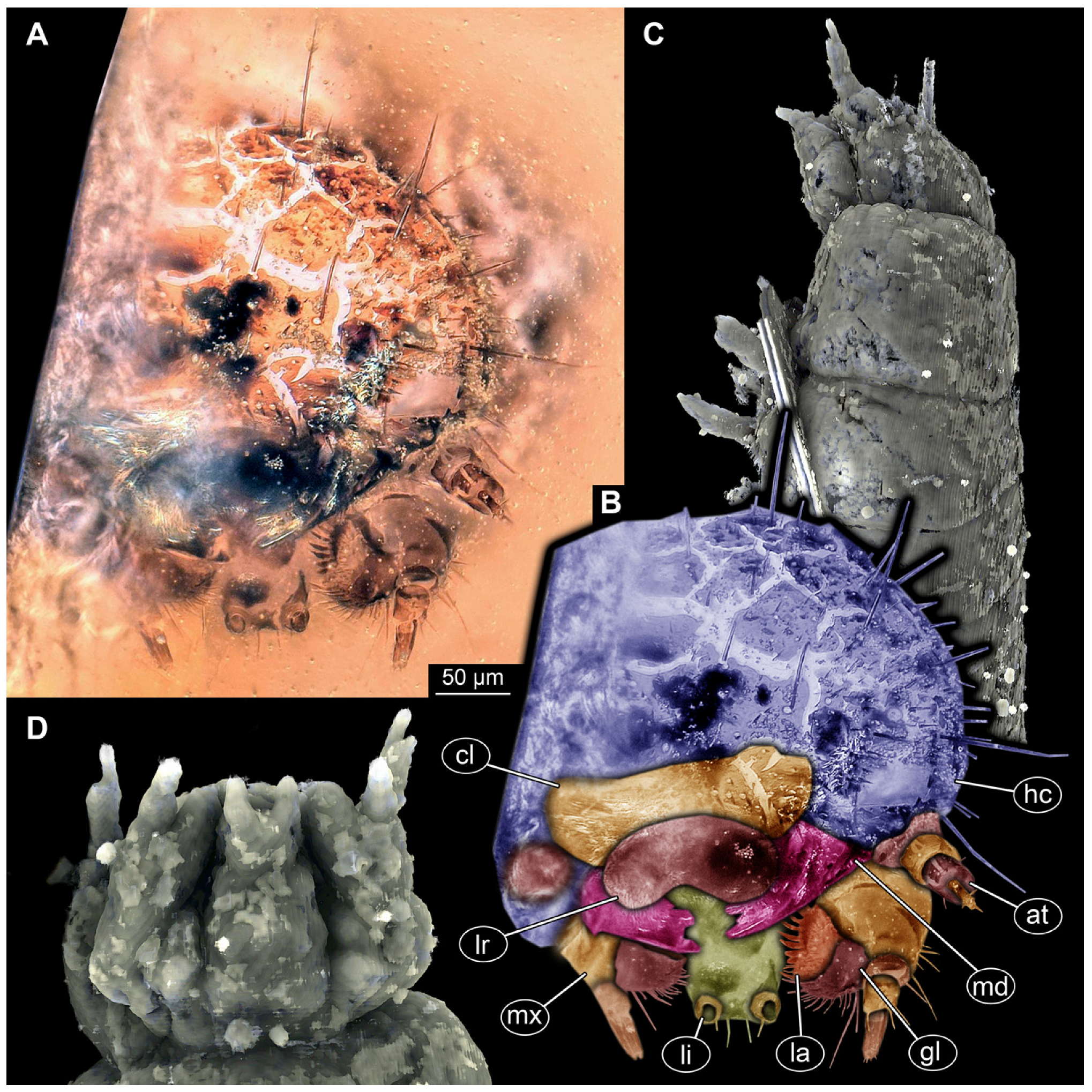 Insects 16 00710 g008