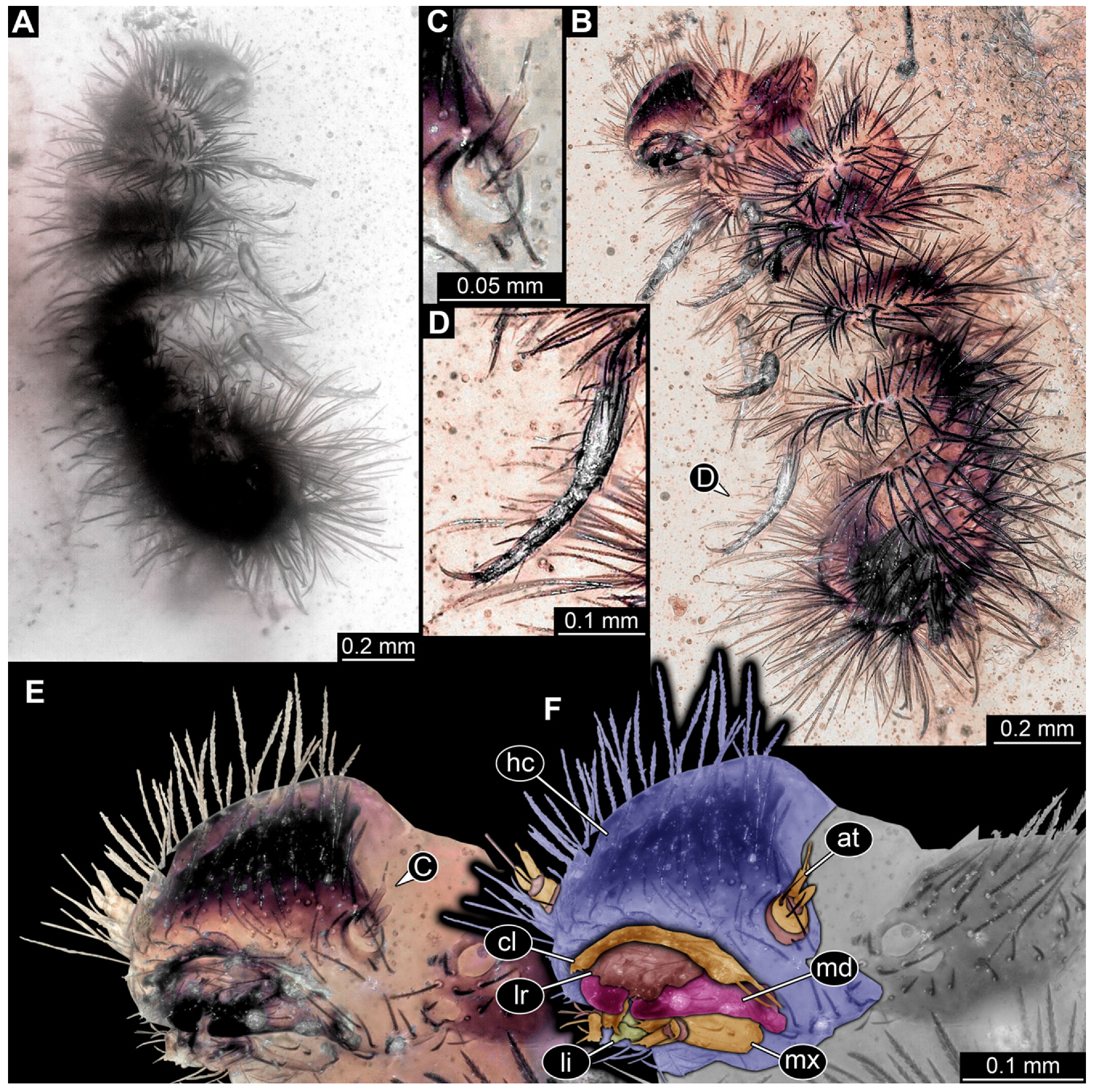 Insects 16 00710 g019