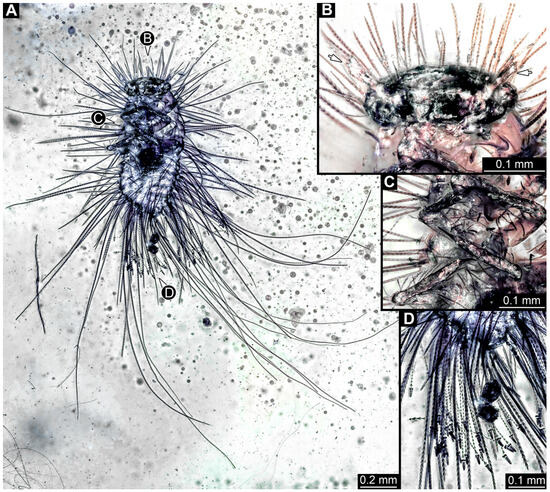 Insects 16 00710 g020