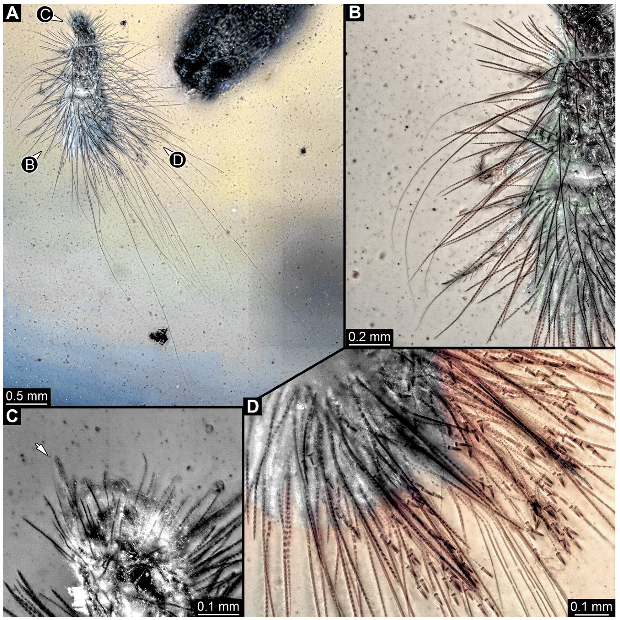 Insects 16 00710 g023