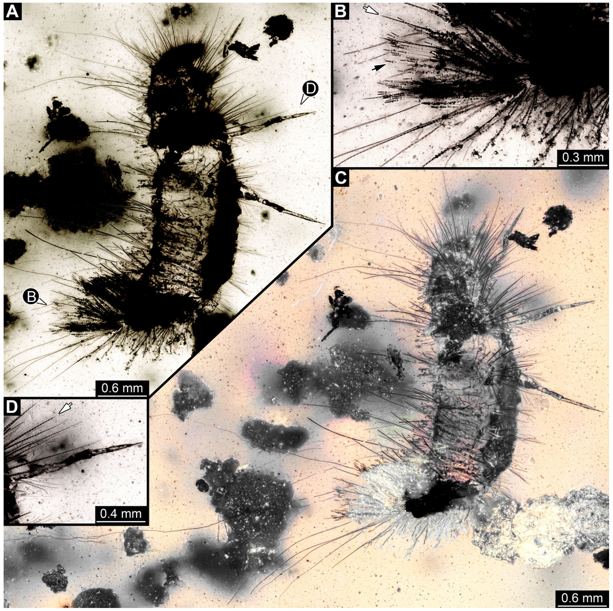 Insects 16 00710 g027